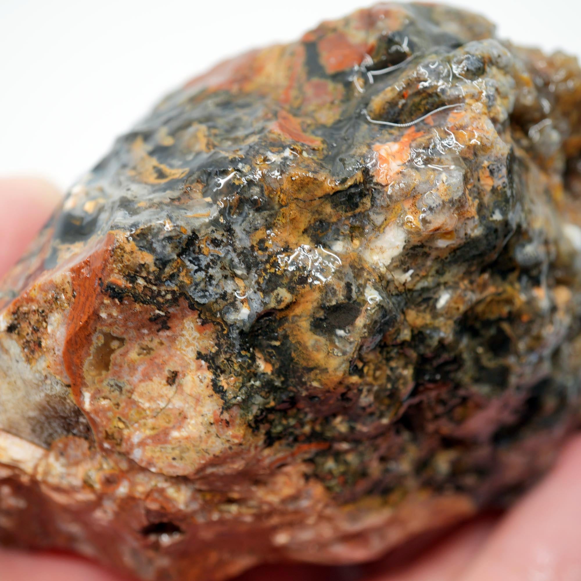 Eagle Rock Plume Agate Rough - Black Marcasite Plume Red Rhyolite Quant Collection