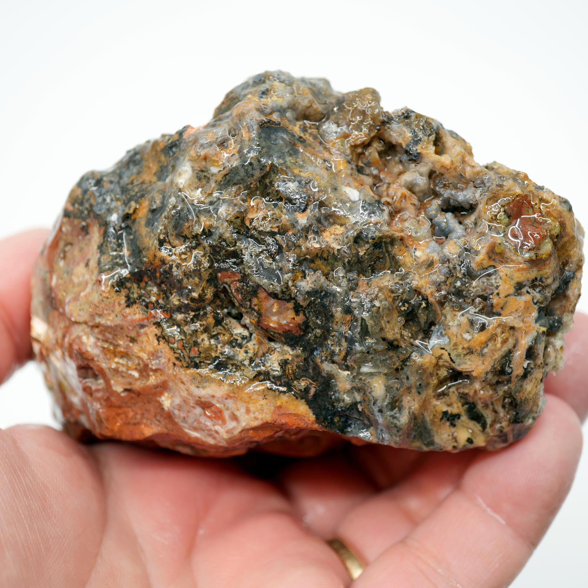 Eagle Rock Plume Agate Rough - Black Marcasite Plume Red Rhyolite Quant Collection