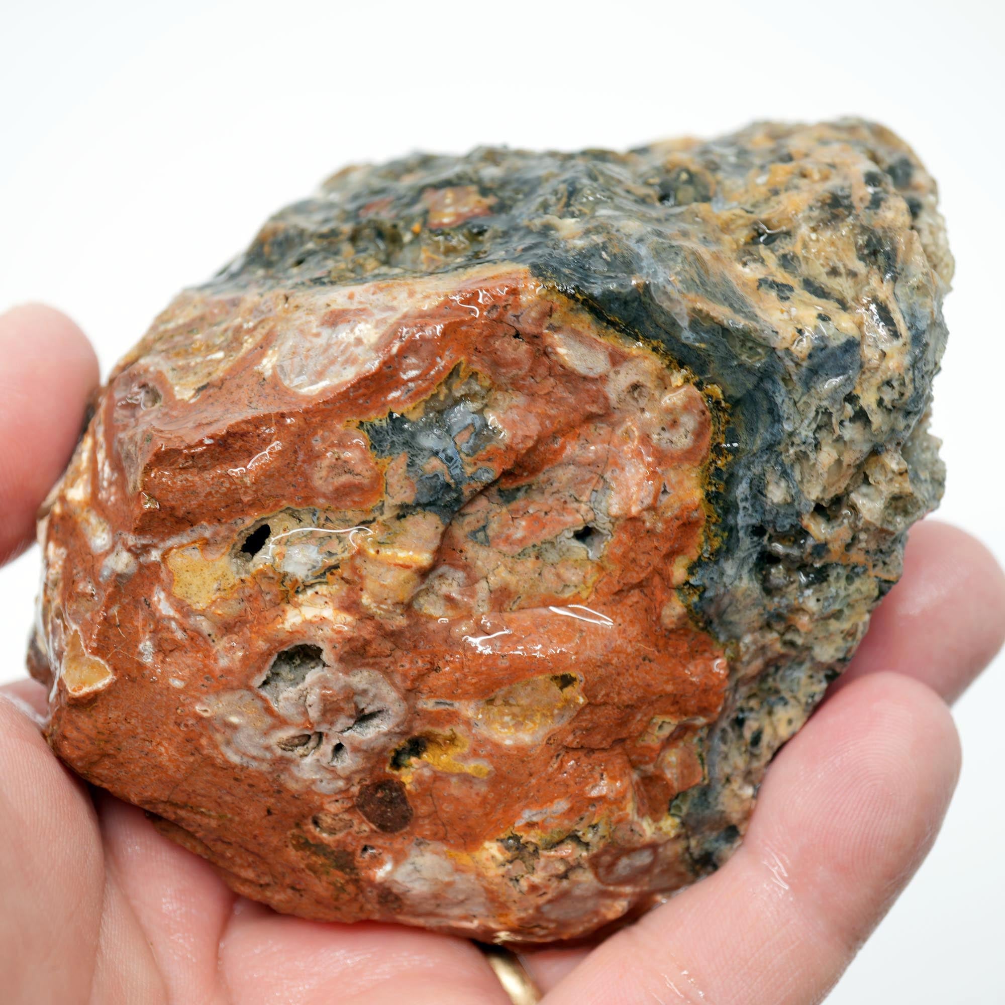 Eagle Rock Plume Agate Rough - Black Marcasite Plume Red Rhyolite Quant Collection