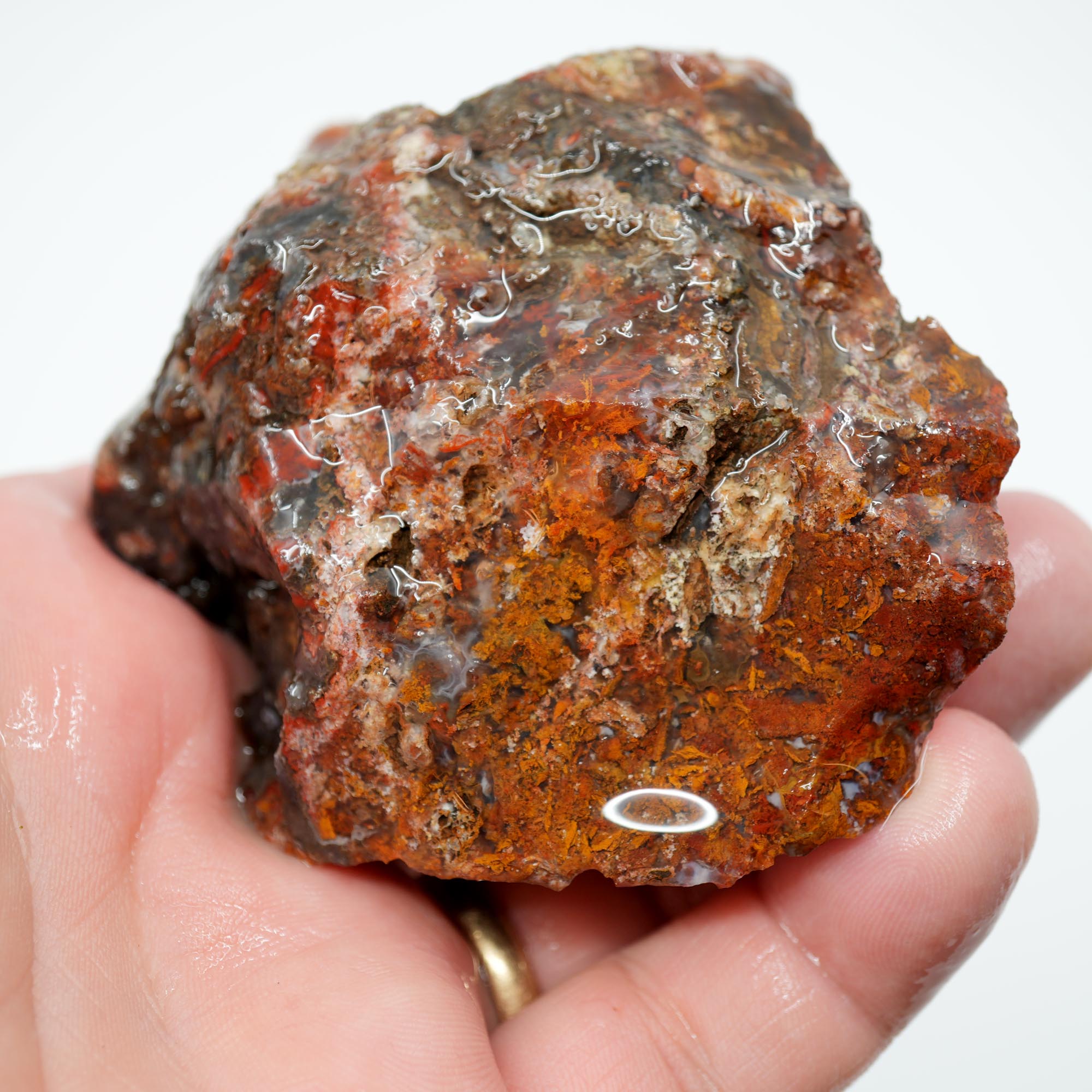 San Carlos Agate Rough - Bright Red with Well-Defined Moss Trimmer