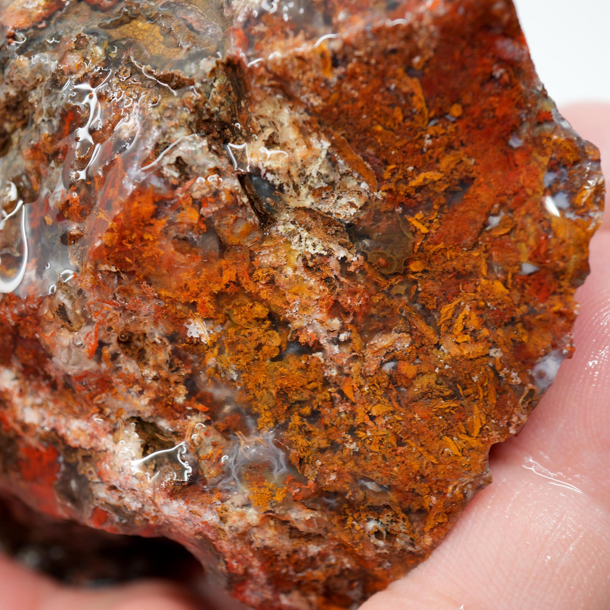 San Carlos Agate Rough - Bright Red with Well-Defined Moss Trimmer