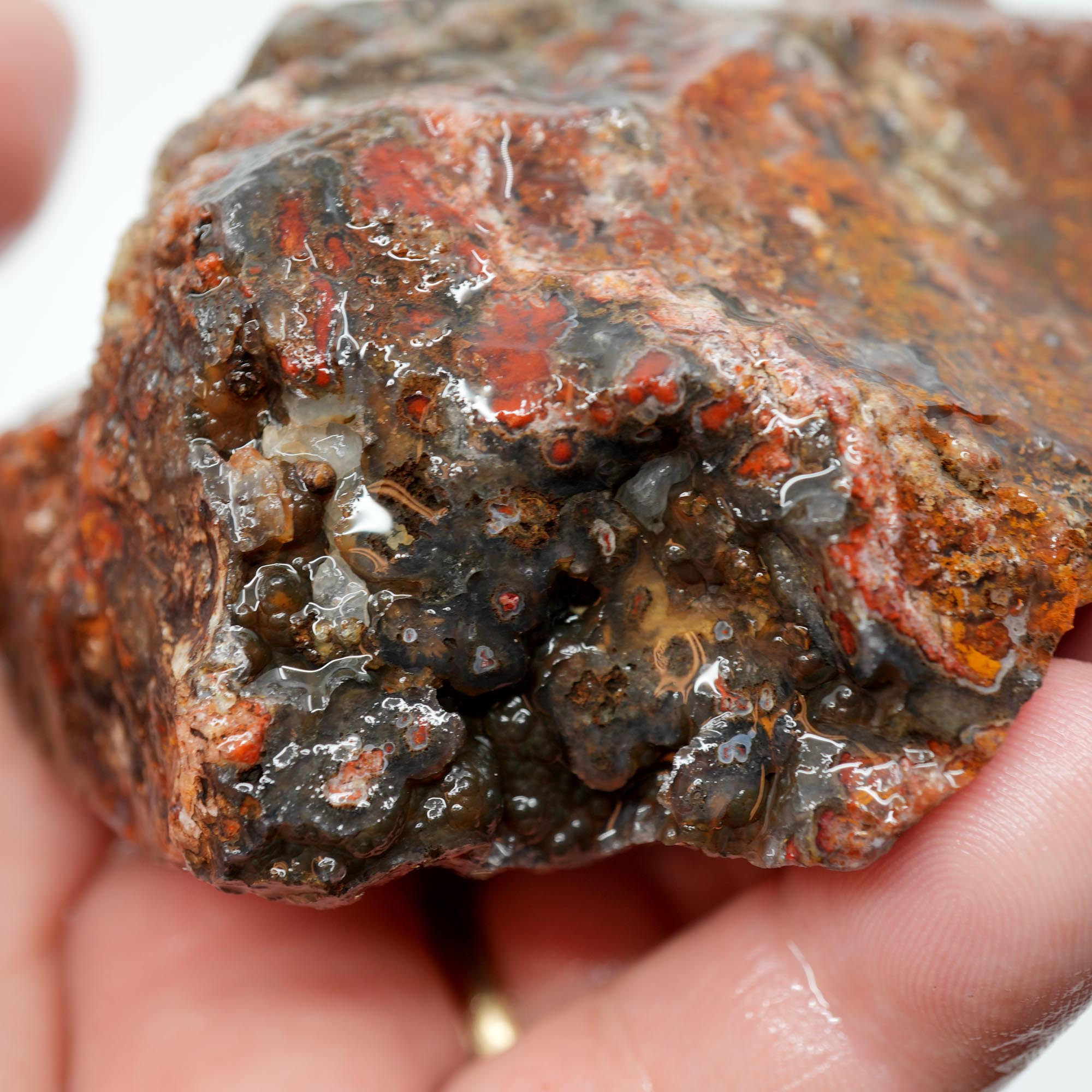 San Carlos Agate Rough - Bright Red with Well-Defined Moss Trimmer