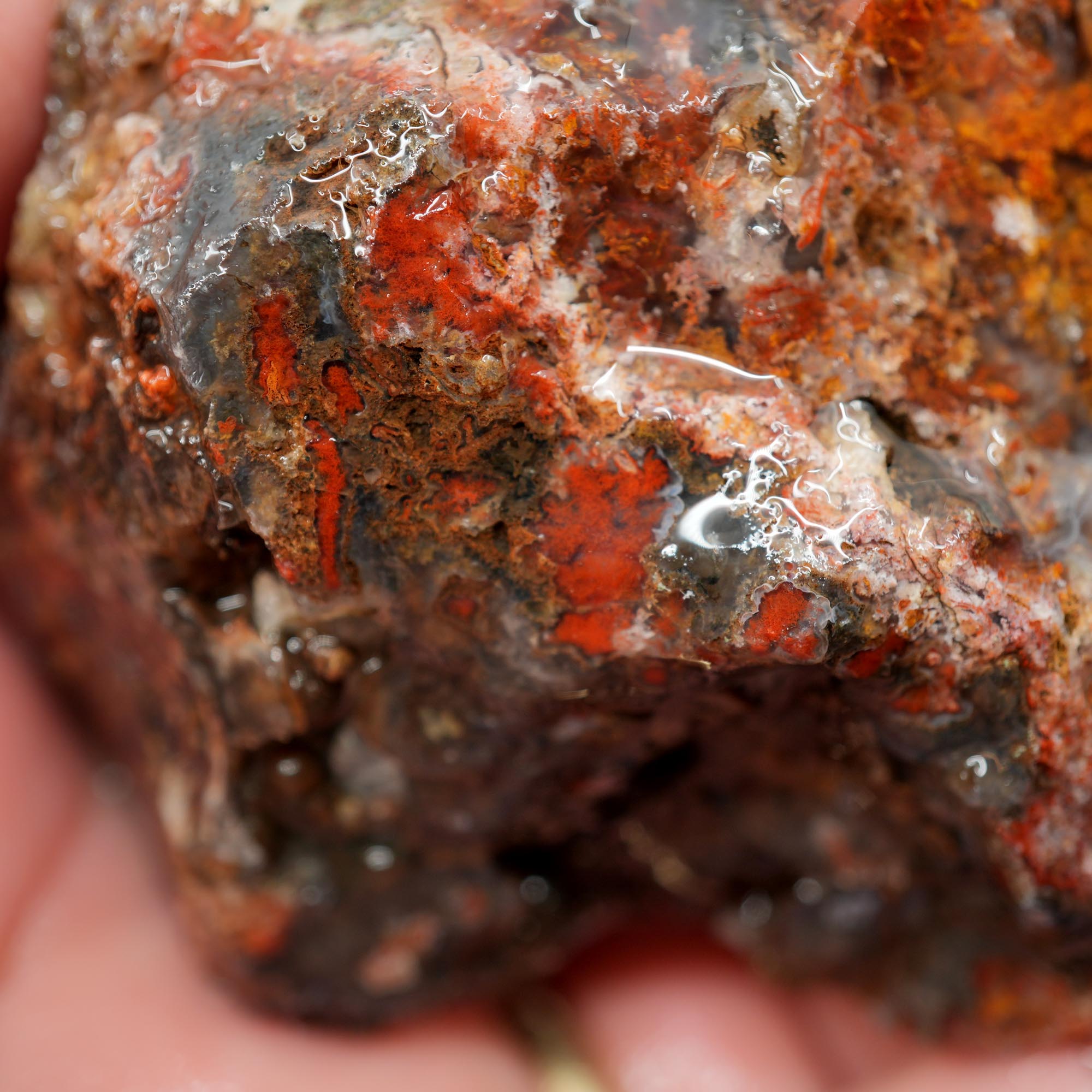 San Carlos Agate Rough - Bright Red with Well-Defined Moss Trimmer