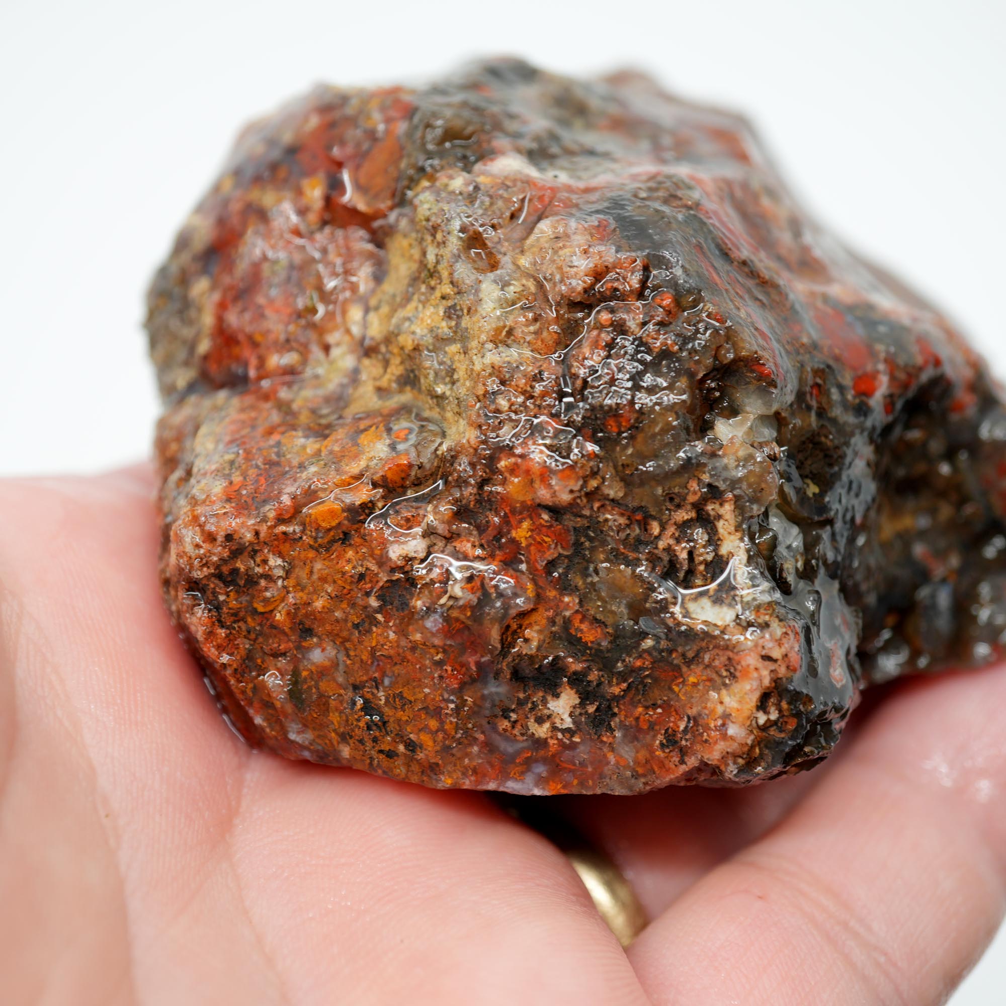 San Carlos Agate Rough - Bright Red with Well-Defined Moss Trimmer