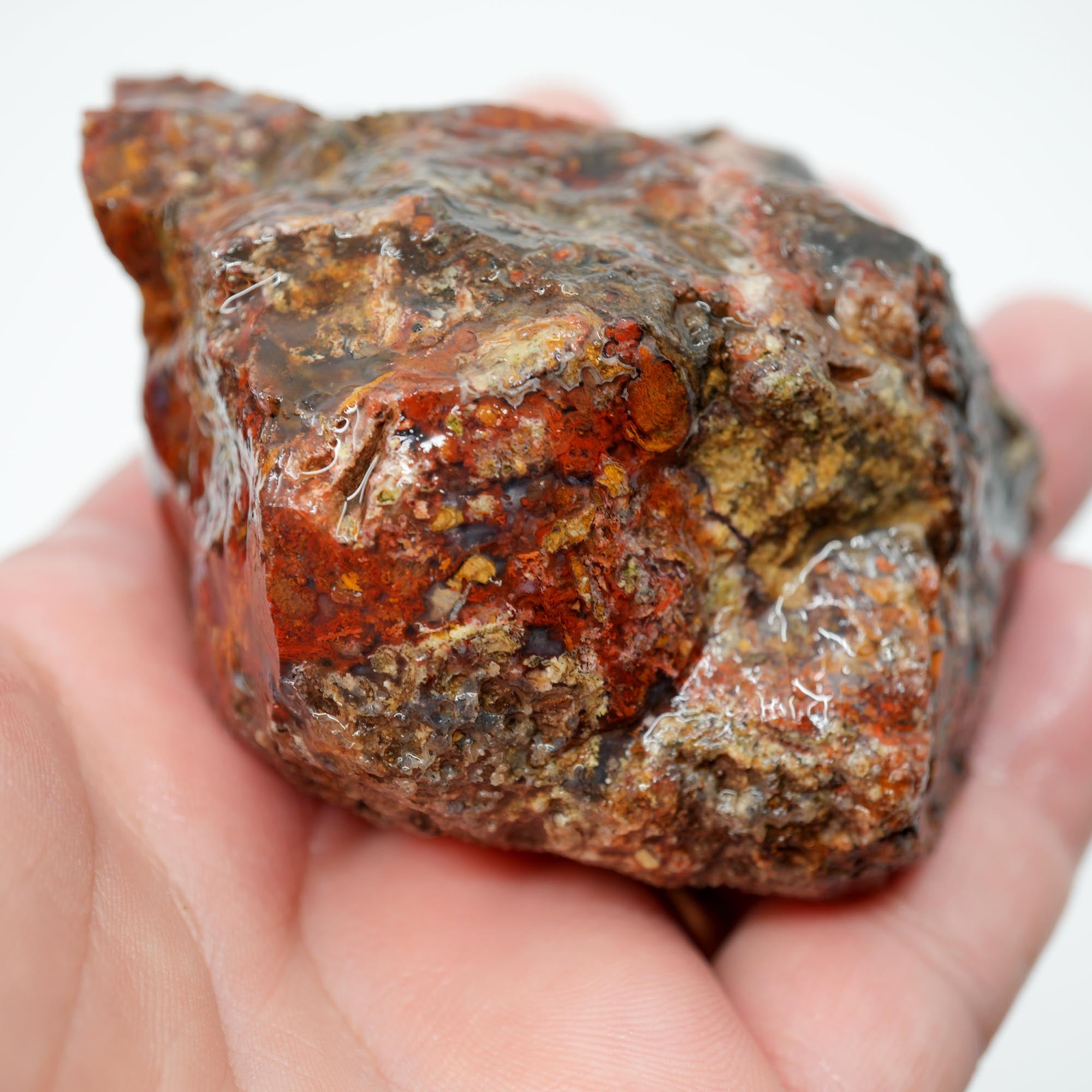San Carlos Agate Rough - Bright Red with Well-Defined Moss Trimmer