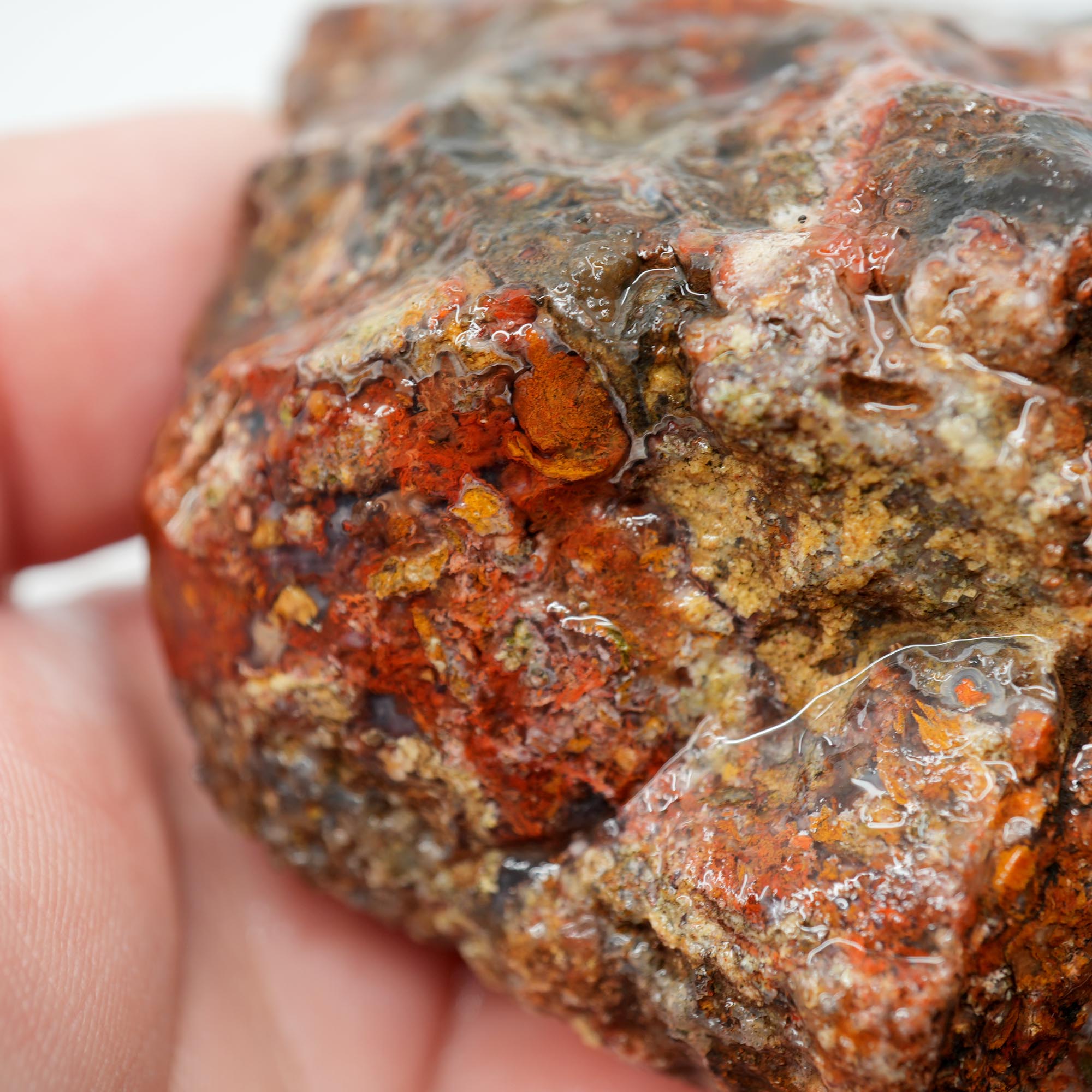 San Carlos Agate Rough - Bright Red with Well-Defined Moss Trimmer