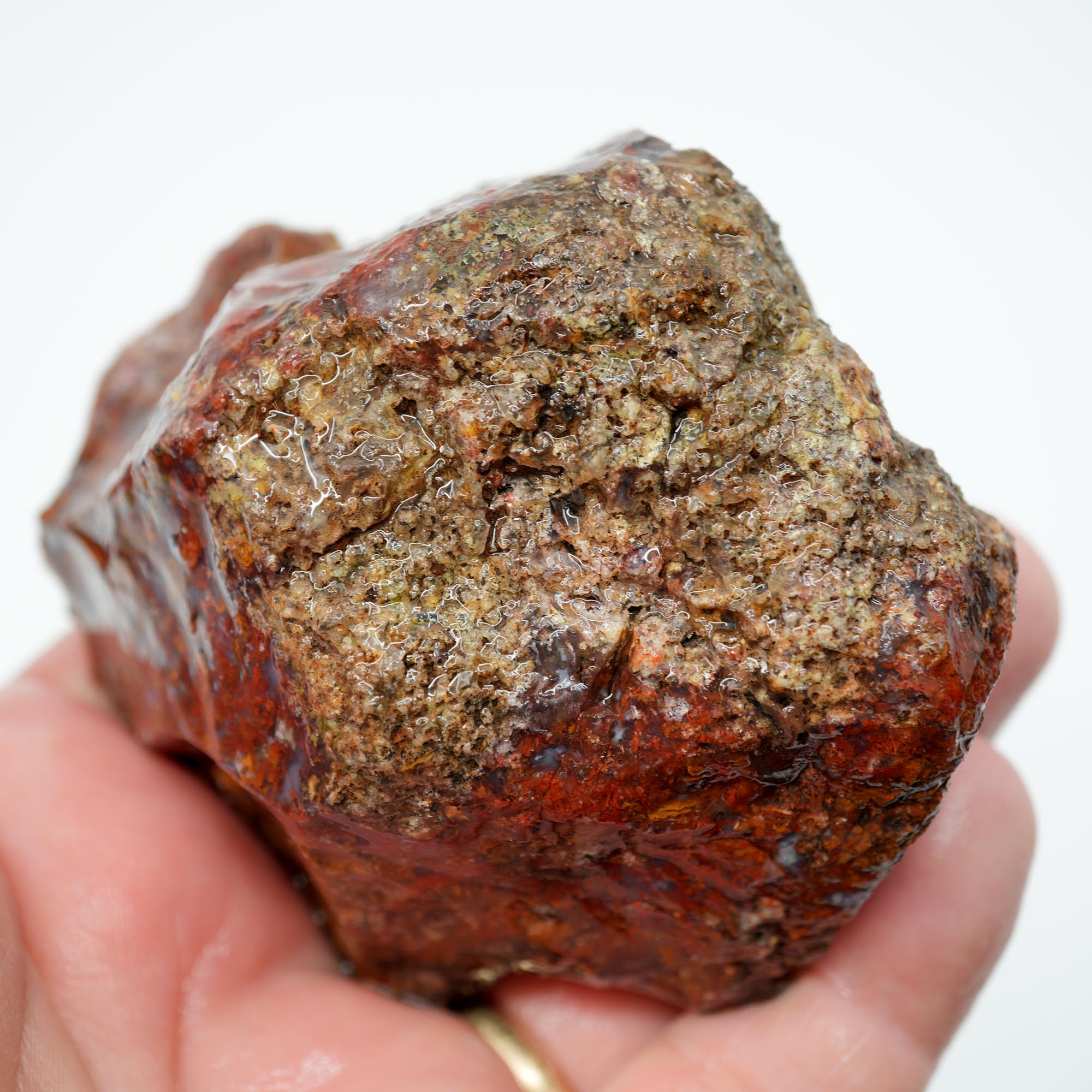 San Carlos Agate Rough - Bright Red with Well-Defined Moss Trimmer