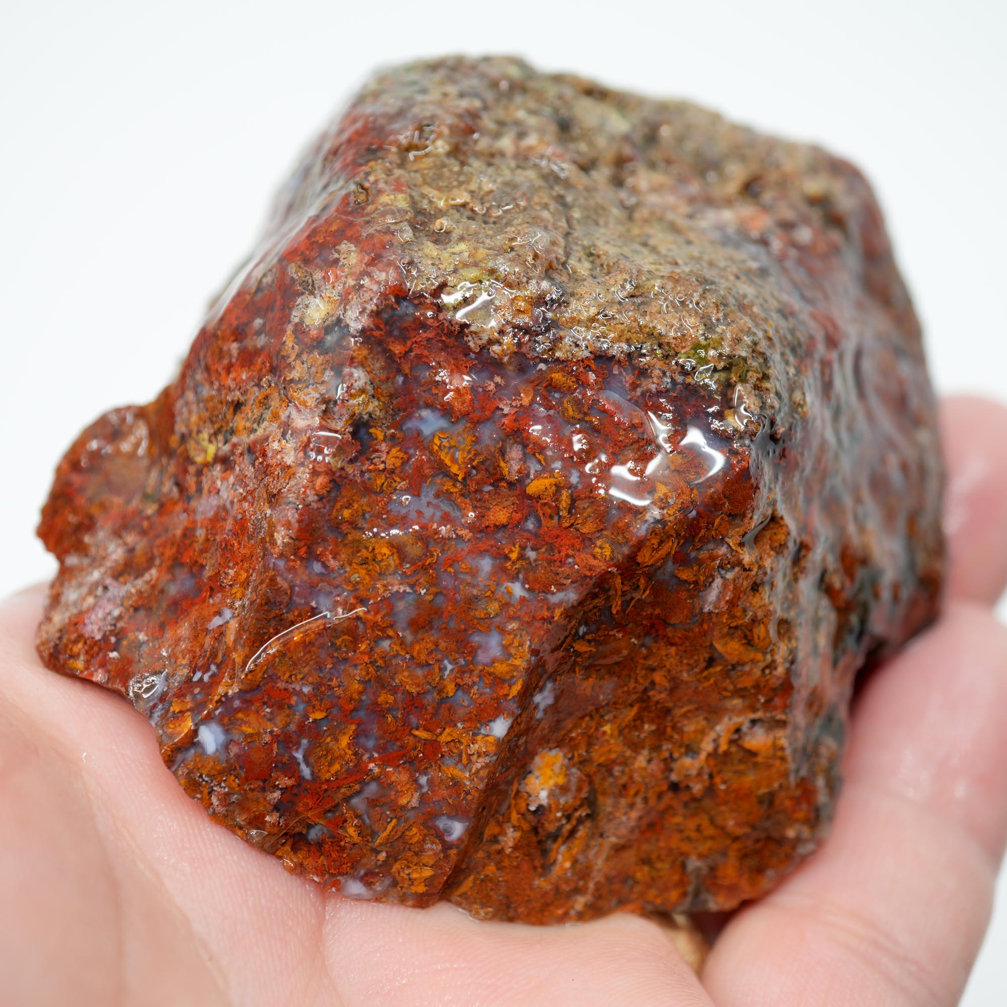 San Carlos Agate Rough - Bright Red with Well-Defined Moss Trimmer