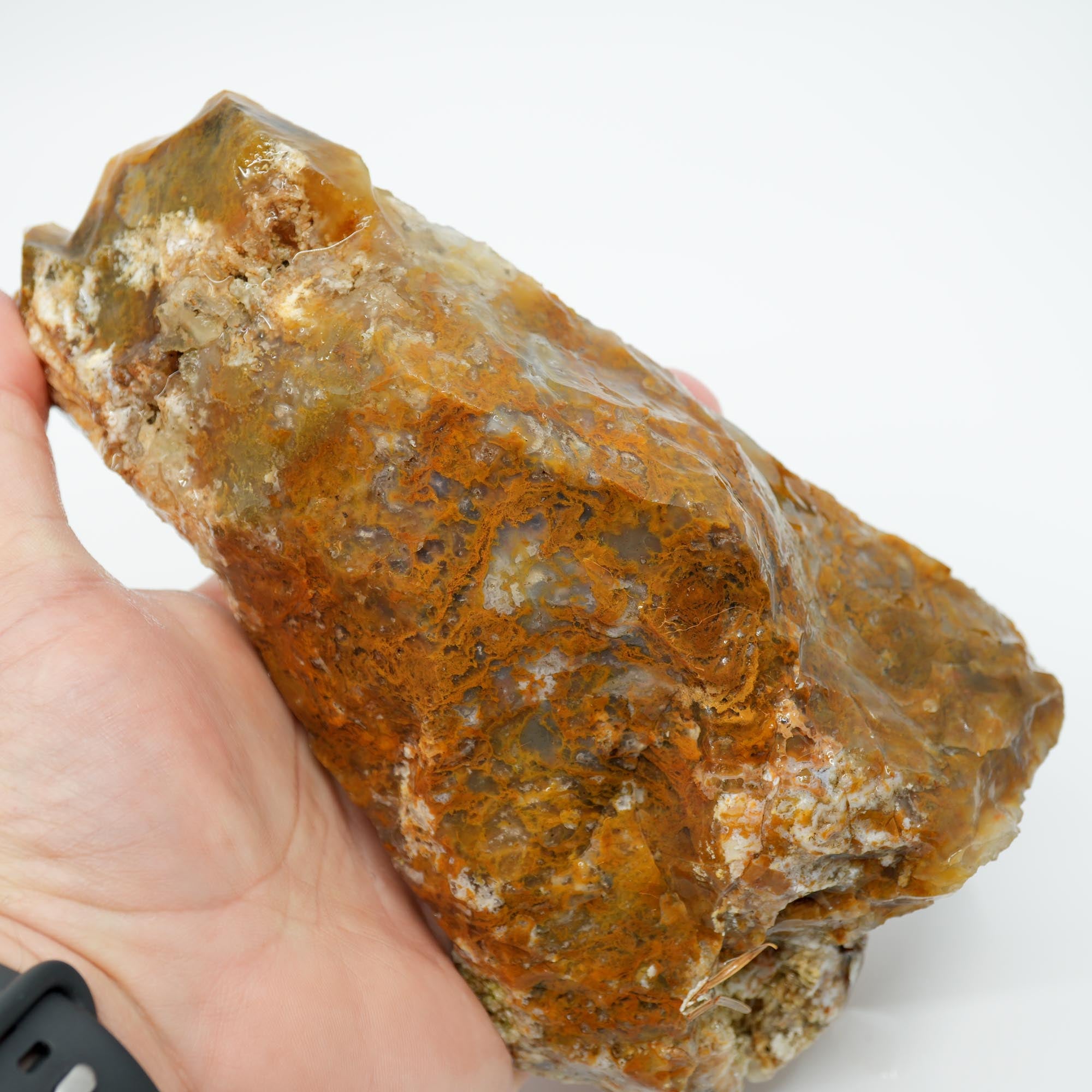 Eagle Rock Plume Agate Rough - Old Stock Caramel Moss Cutter No Rhyolite