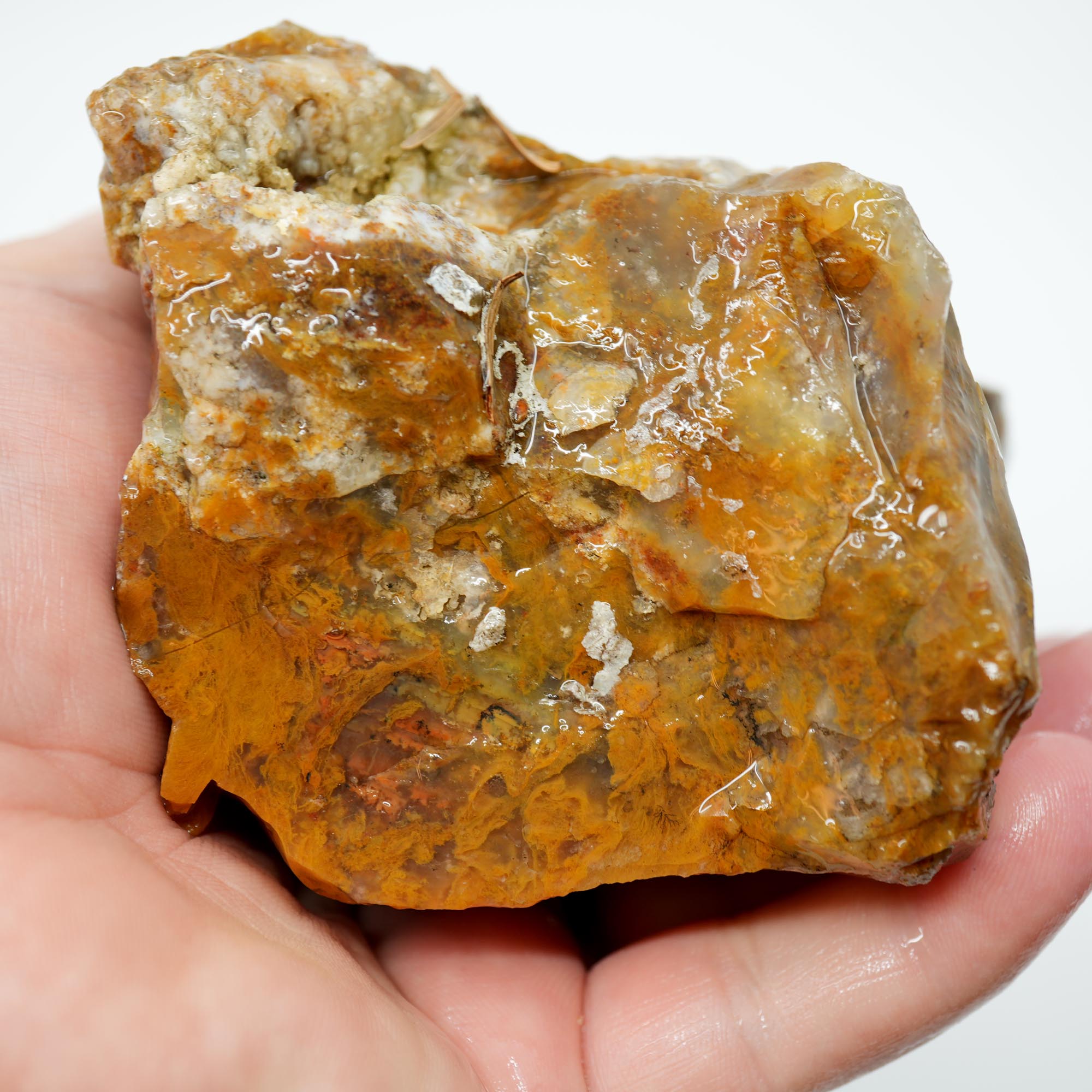 Eagle Rock Plume Agate Rough - Old Stock Caramel Moss Cutter No Rhyolite