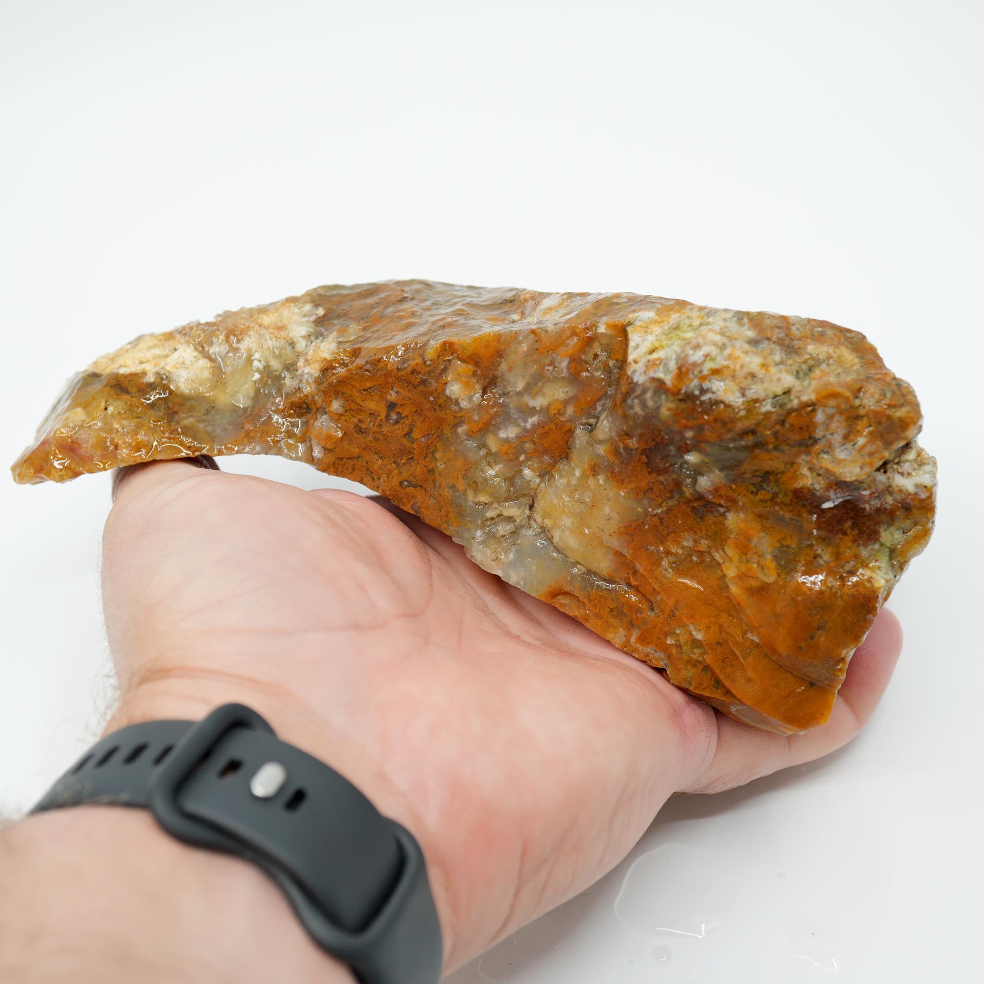 Eagle Rock Plume Agate Rough - Old Stock Caramel Moss Cutter No Rhyolite
