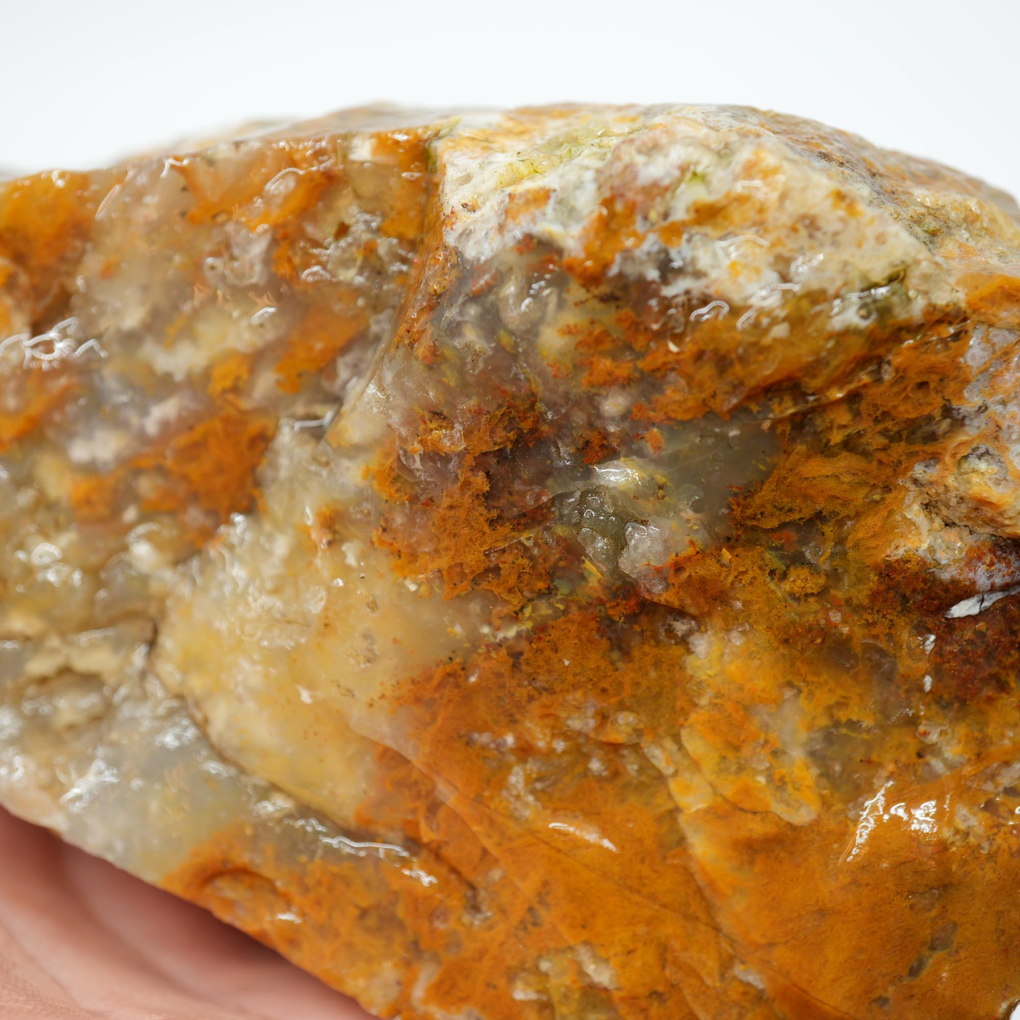 Eagle Rock Plume Agate Rough - Old Stock Caramel Moss Cutter No Rhyolite