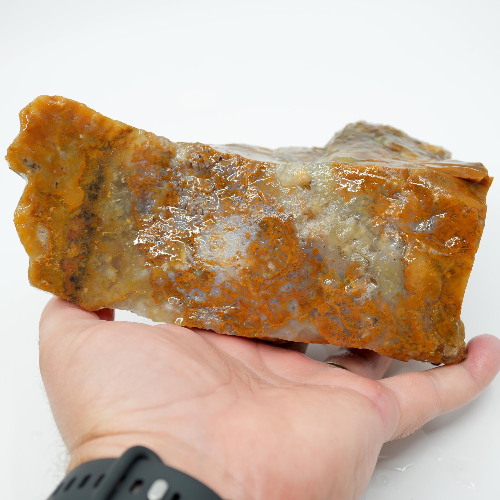 Eagle Rock Plume Agate Rough - Old Stock Caramel Moss Cutter No Rhyolite