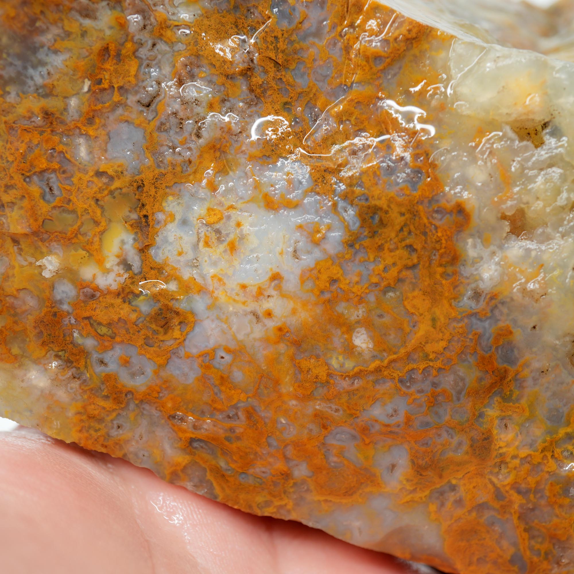 Eagle Rock Plume Agate Rough - Old Stock Caramel Moss Cutter No Rhyolite