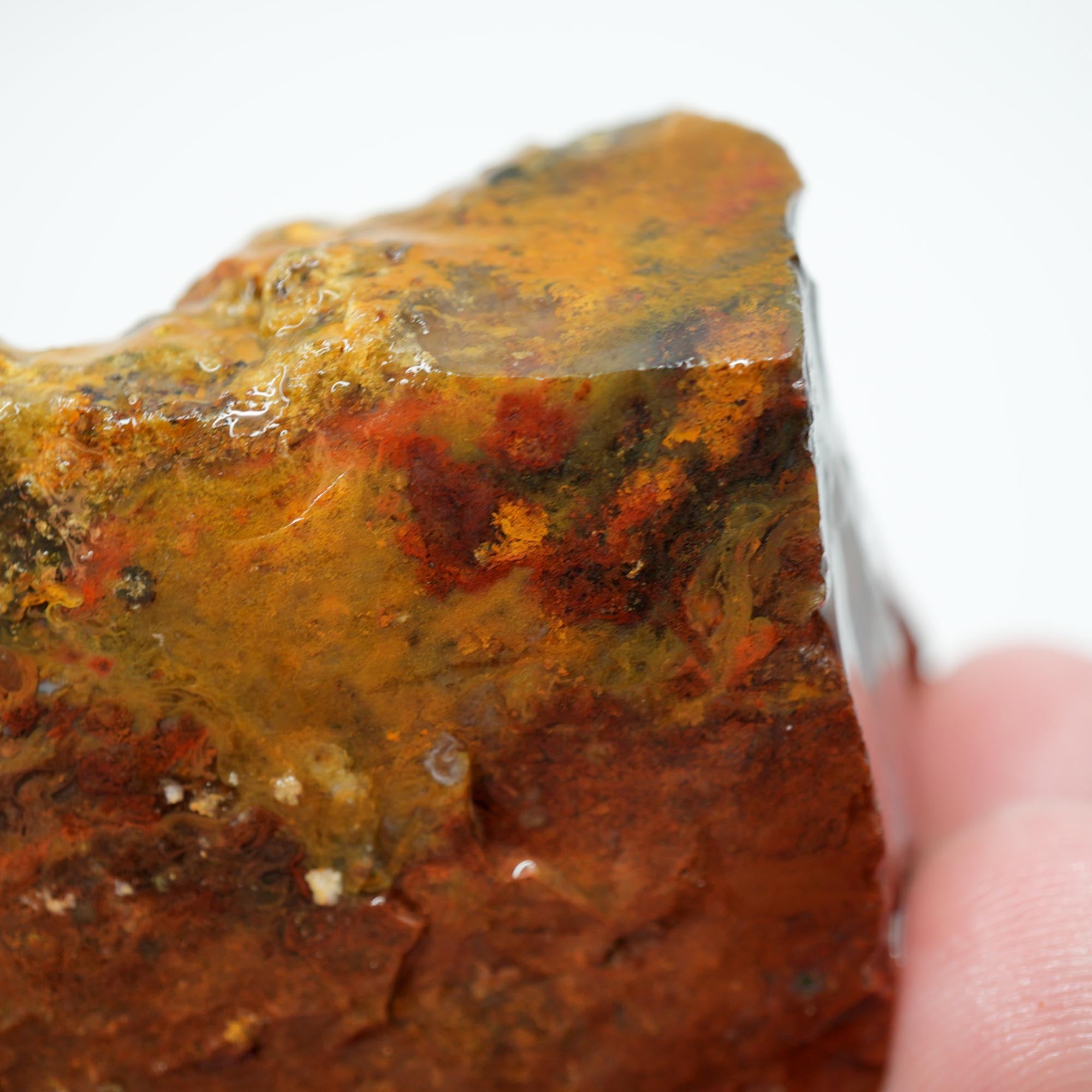 Carey Plume Agate Rough - Old Stock Bright Red with Rhyolite Trimmer