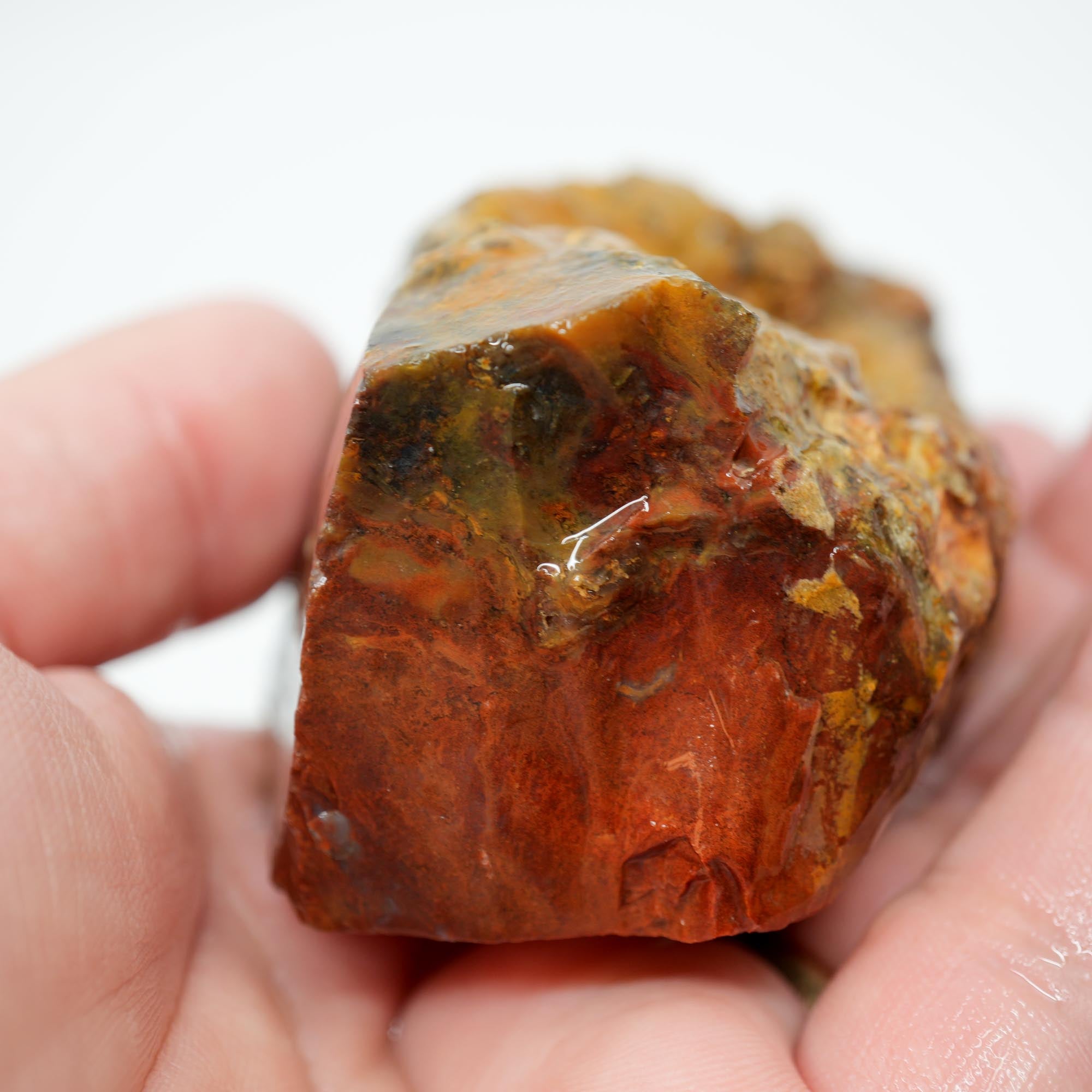 Carey Plume Agate Rough - Old Stock Bright Red with Rhyolite Trimmer