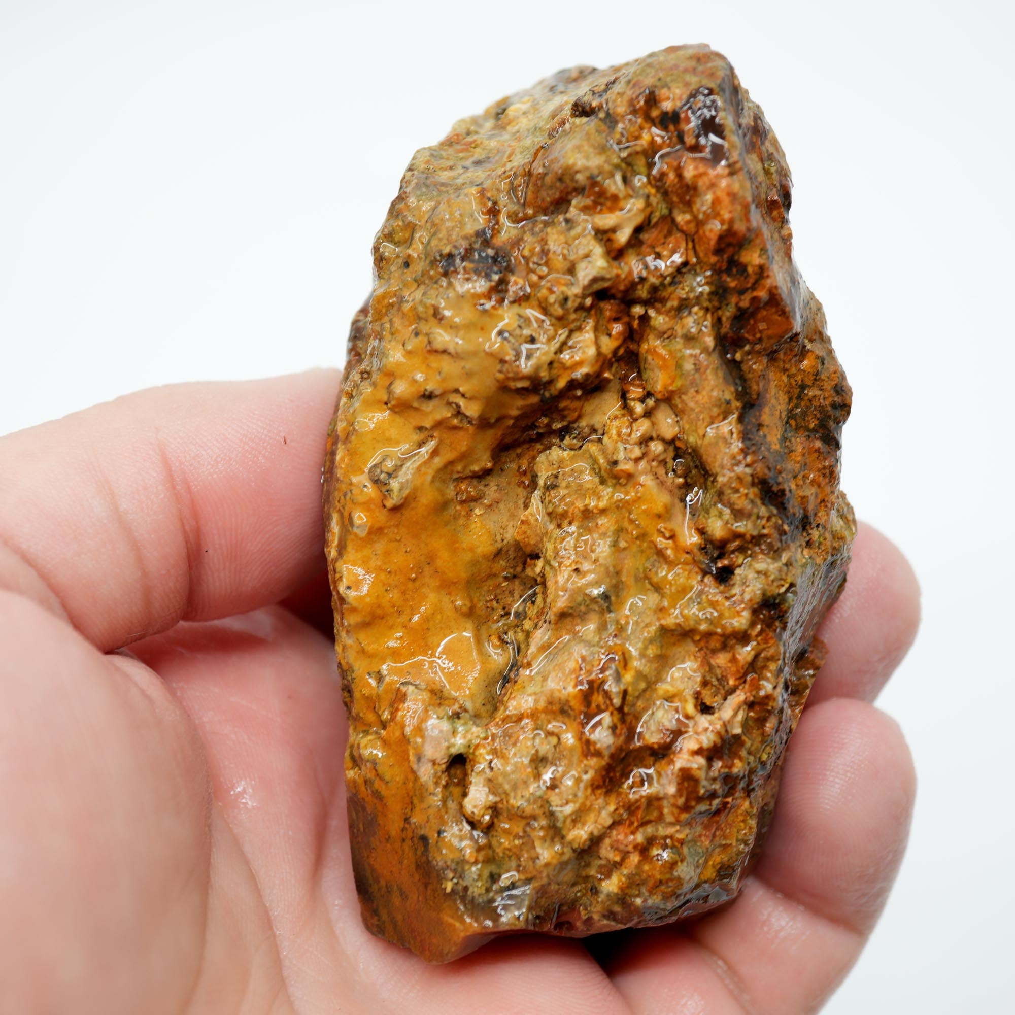 Carey Plume Agate Rough - Old Stock Bright Red with Rhyolite Trimmer