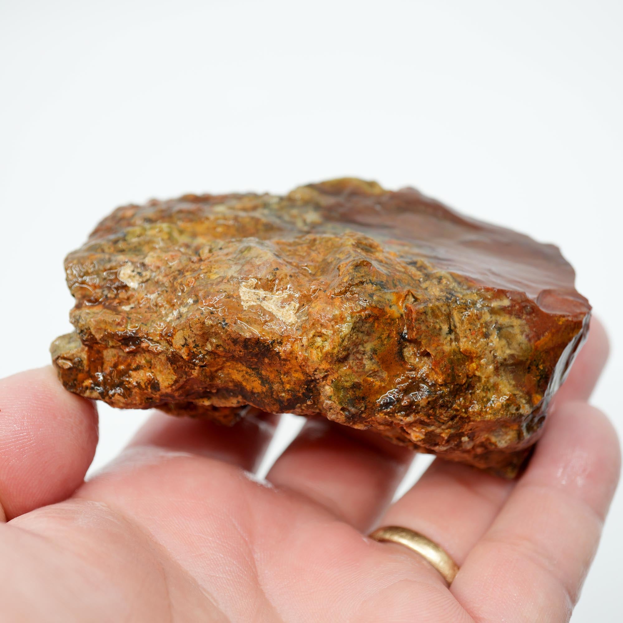 Carey Plume Agate Rough - Old Stock Bright Red with Rhyolite Trimmer