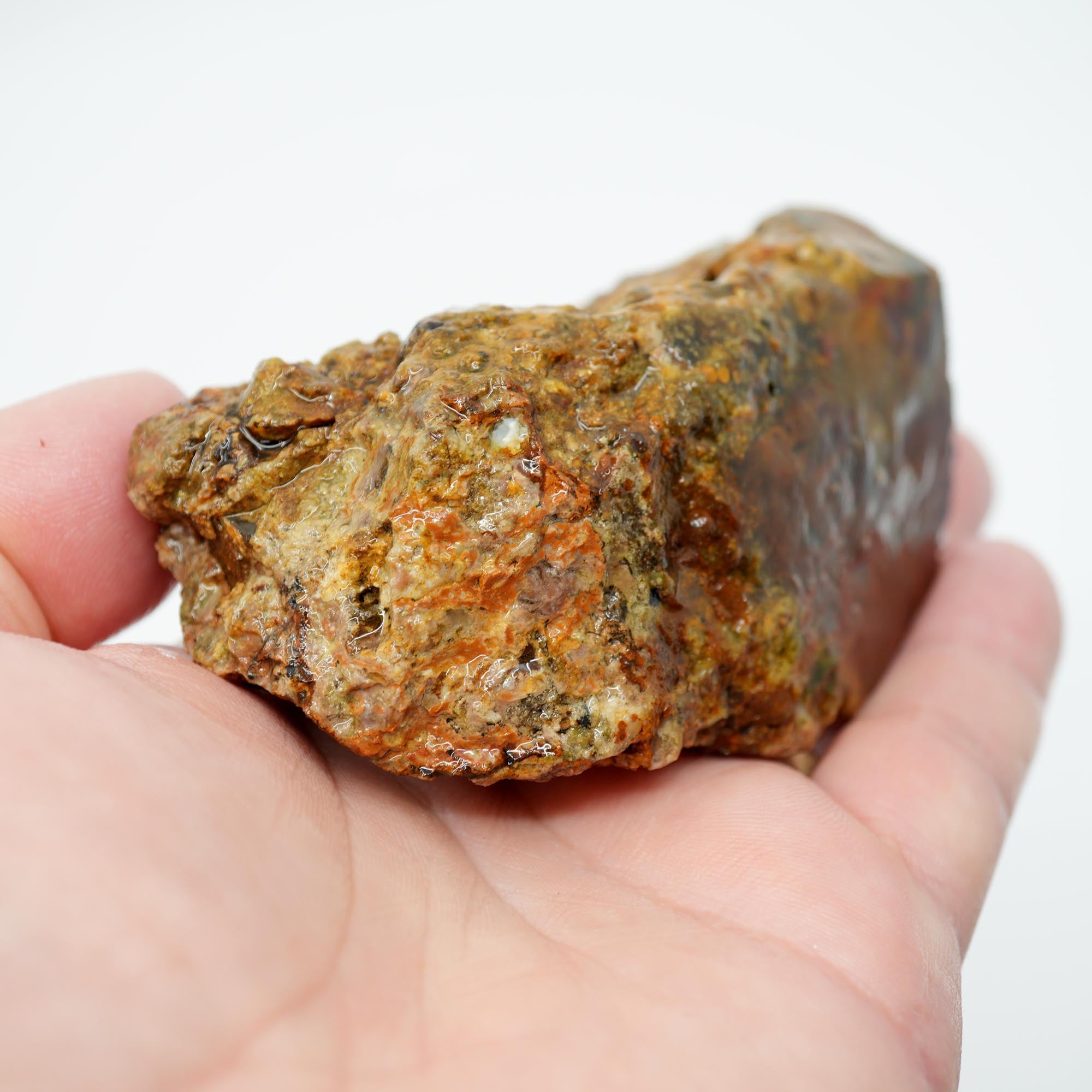 Carey Plume Agate Rough - Old Stock Bright Red with Rhyolite Trimmer