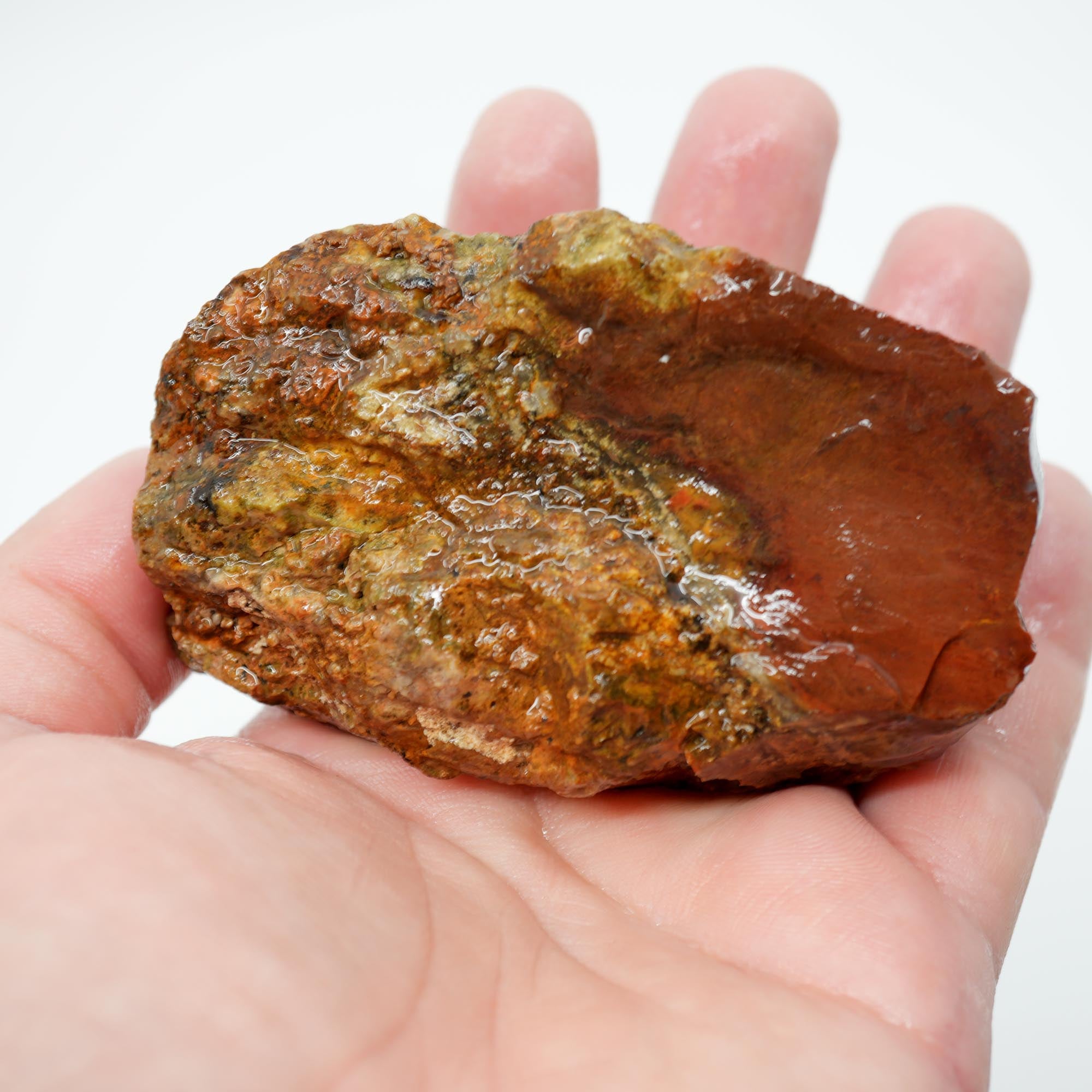 Carey Plume Agate Rough - Old Stock Bright Red with Rhyolite Trimmer