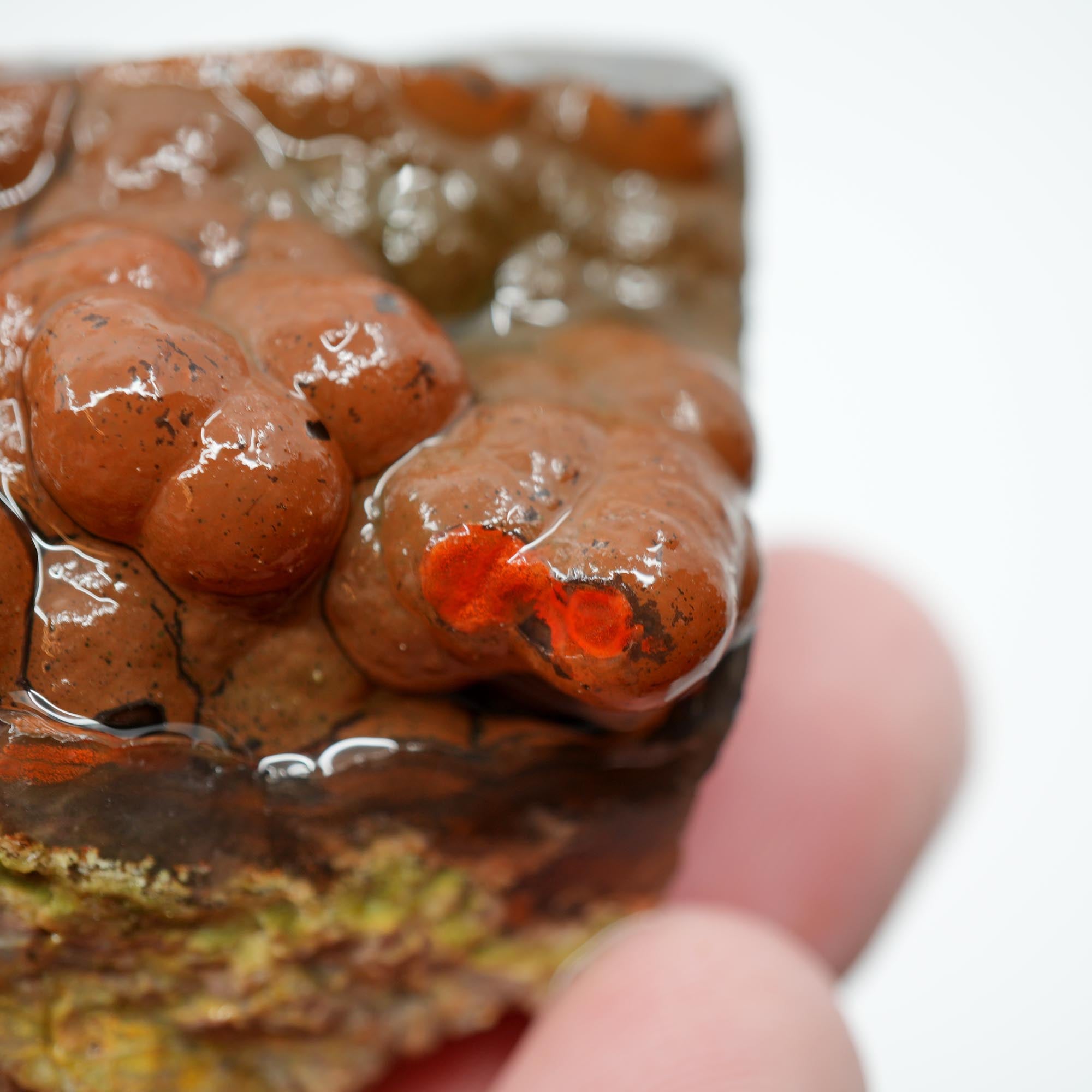 Mystery Broken Thunderegg Rough - Botryoidal Center with Plume-Like Structures