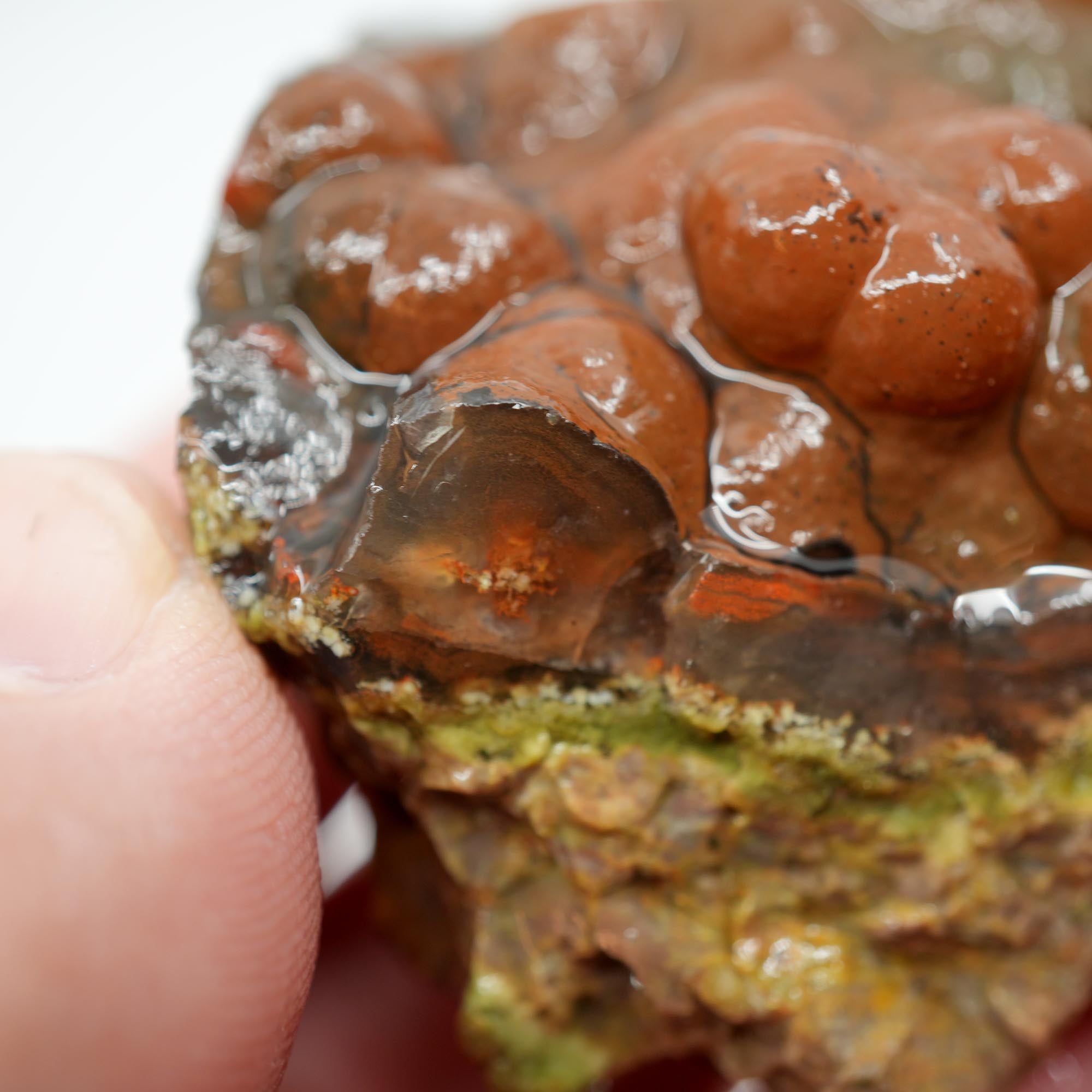 Mystery Broken Thunderegg Rough - Botryoidal Center with Plume-Like Structures