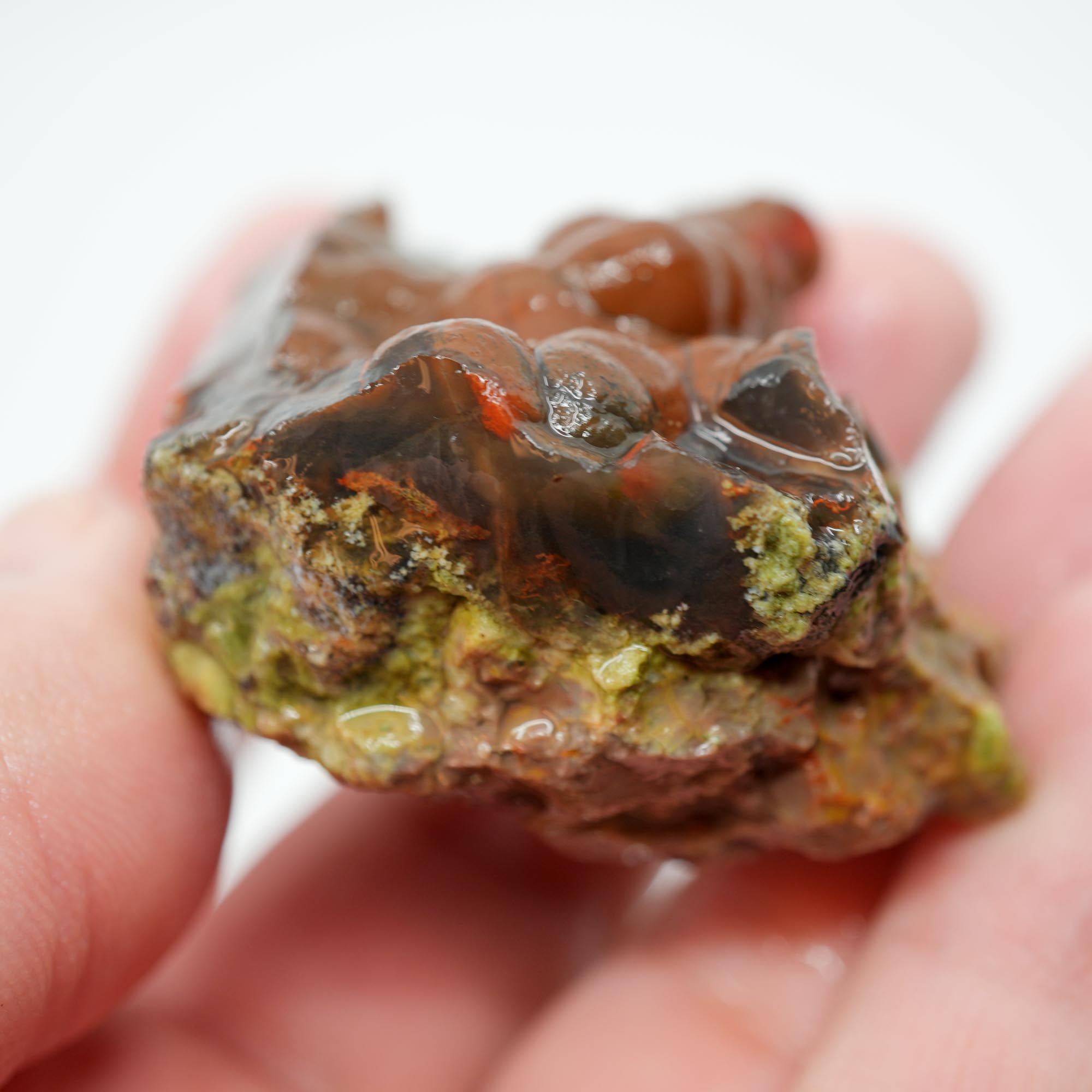 Mystery Broken Thunderegg Rough - Botryoidal Center with Plume-Like Structures