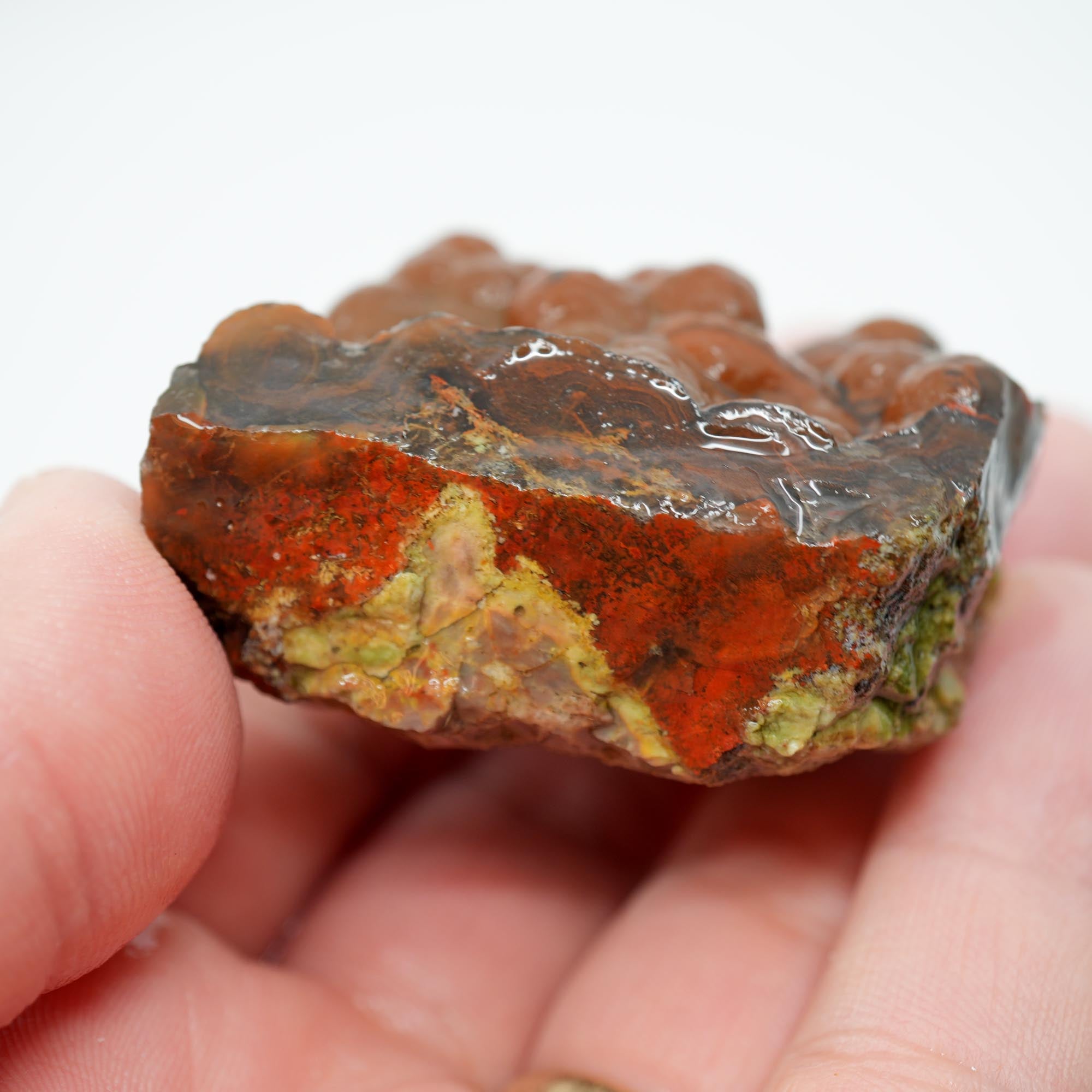 Mystery Broken Thunderegg Rough - Botryoidal Center with Plume-Like Structures