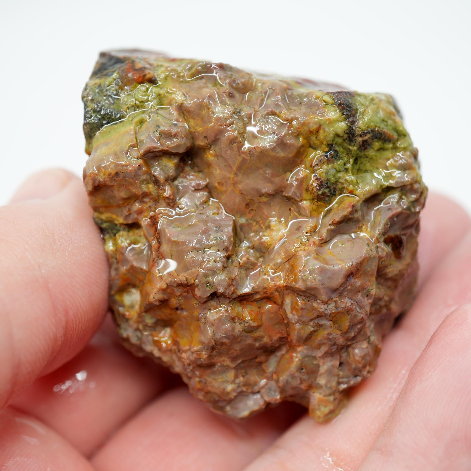 Mystery Broken Thunderegg Rough - Botryoidal Center with Plume-Like Structures