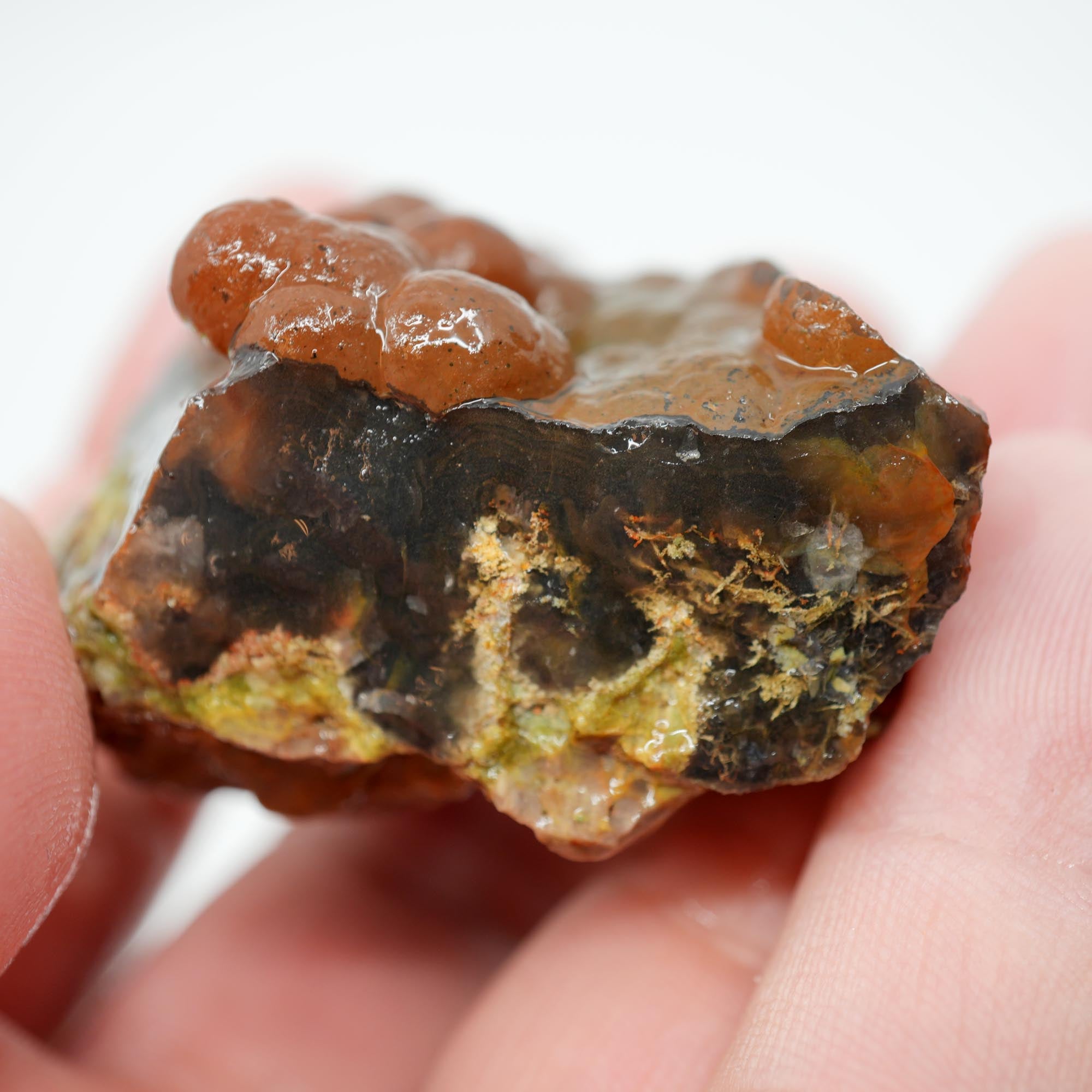 Mystery Broken Thunderegg Rough - Botryoidal Center with Plume-Like Structures