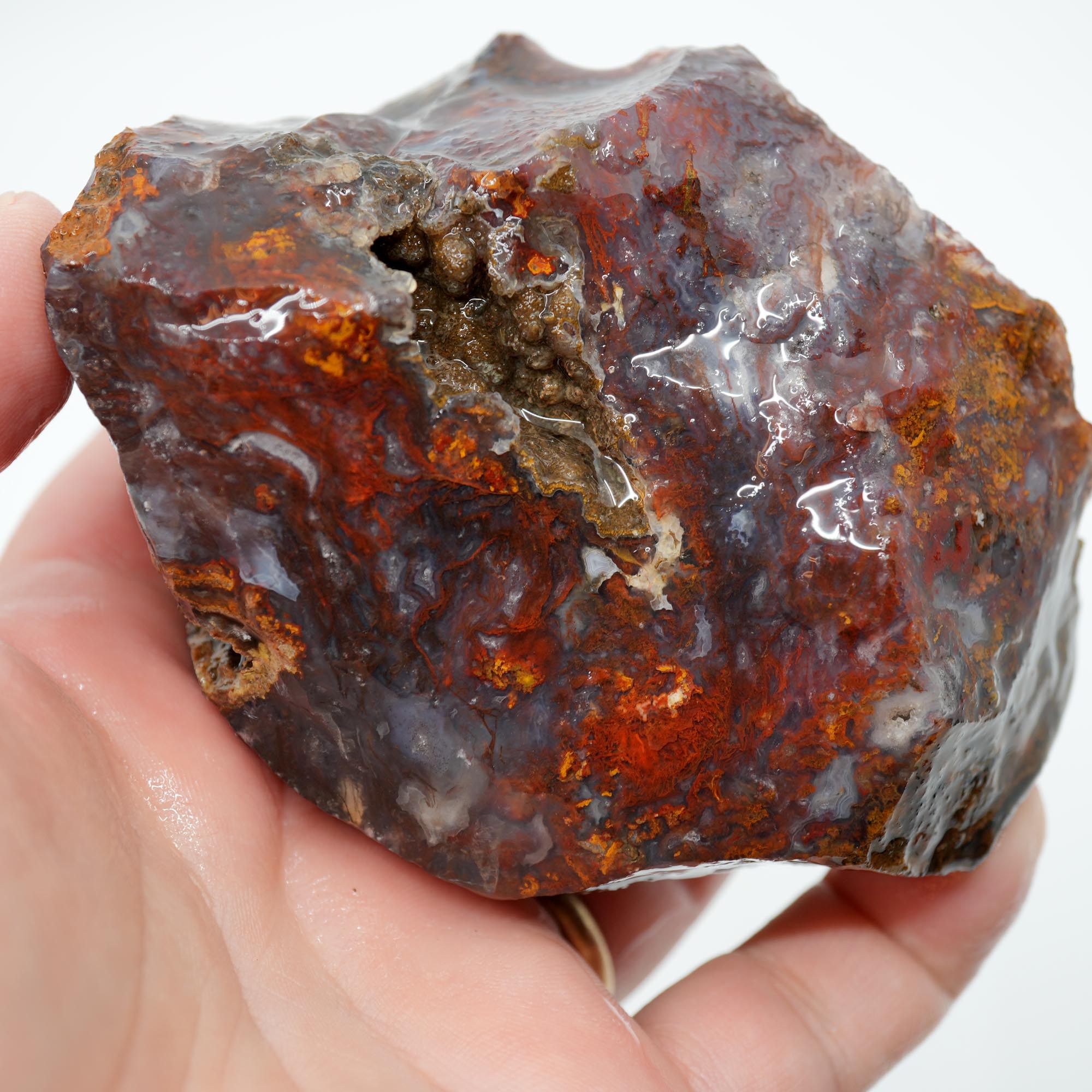 San Carlos Agate Rough - Bright Red with Midnight Smoky and Well-Defined Blue Agate