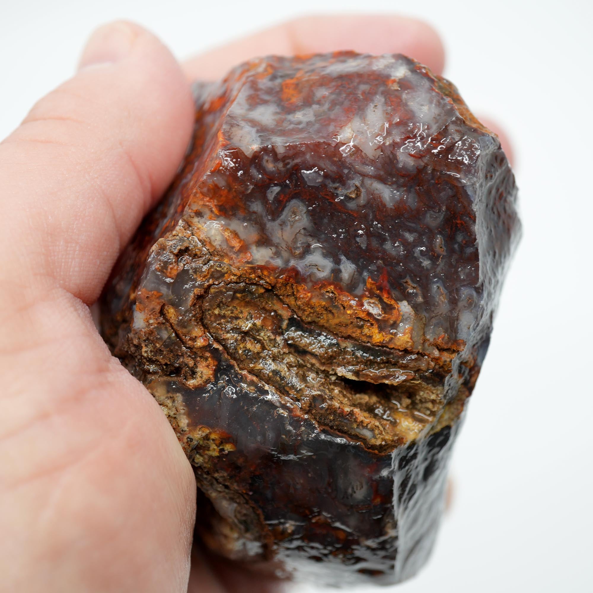 San Carlos Agate Rough - Bright Red with Midnight Smoky and Well-Defined Blue Agate