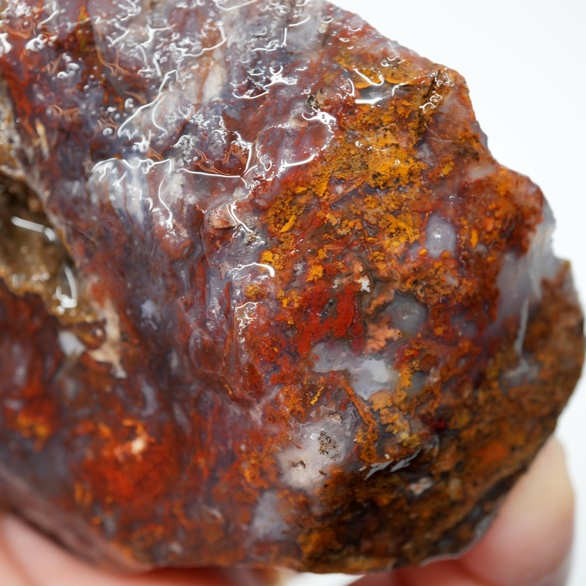San Carlos Agate Rough - Bright Red with Midnight Smoky and Well-Defined Blue Agate