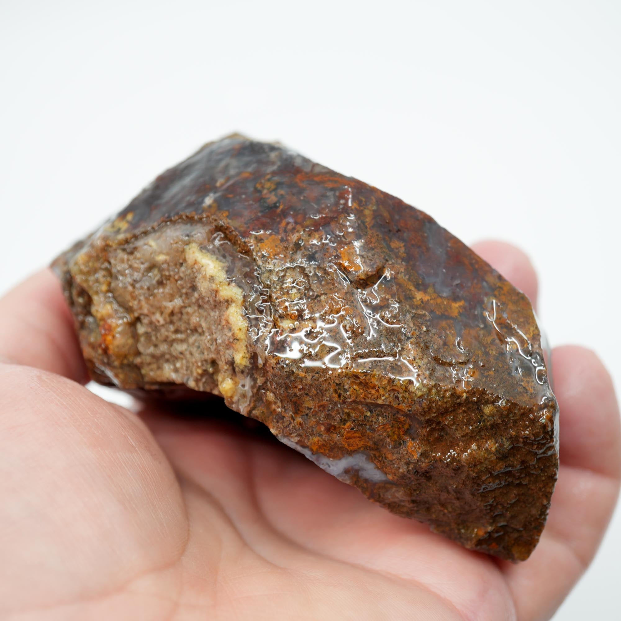 San Carlos Agate Rough - Bright Red with Midnight Smoky and Well-Defined Blue Agate