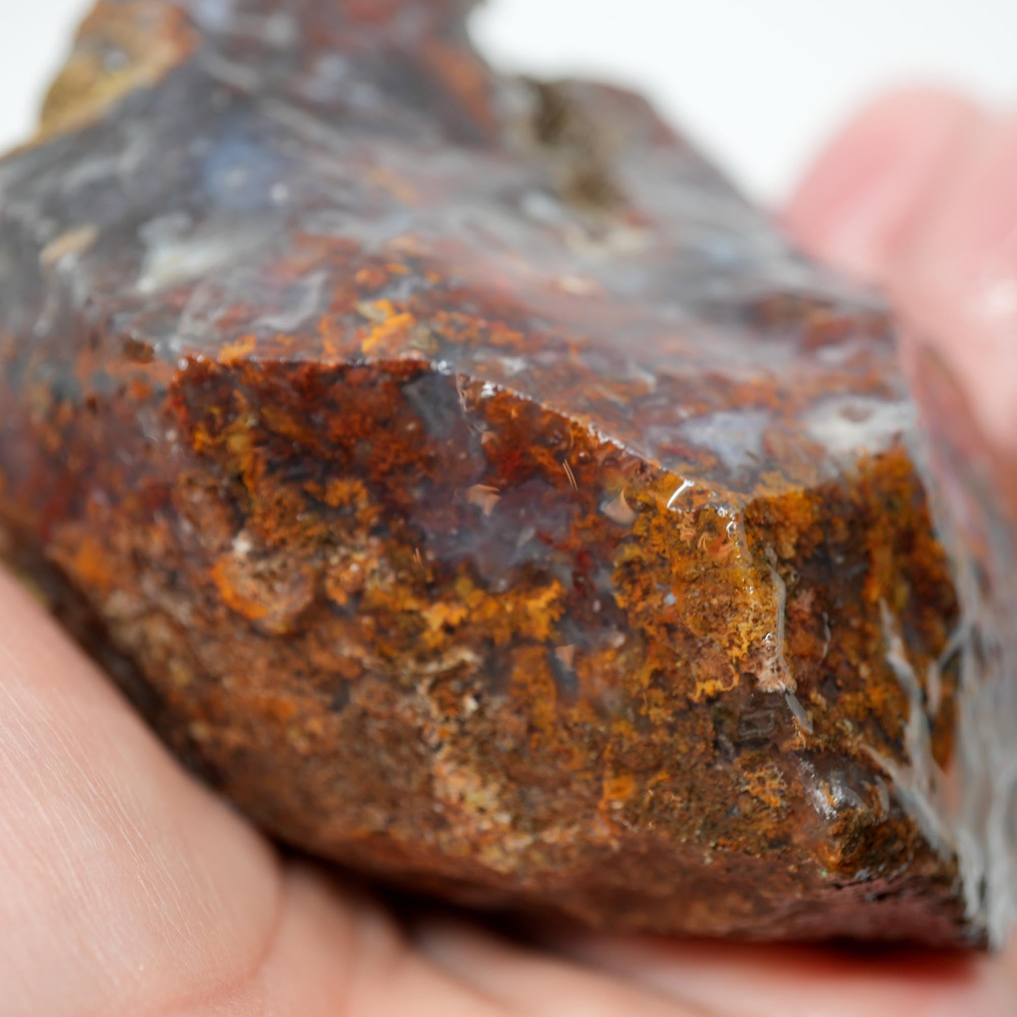 San Carlos Agate Rough - Bright Red with Midnight Smoky and Well-Defined Blue Agate