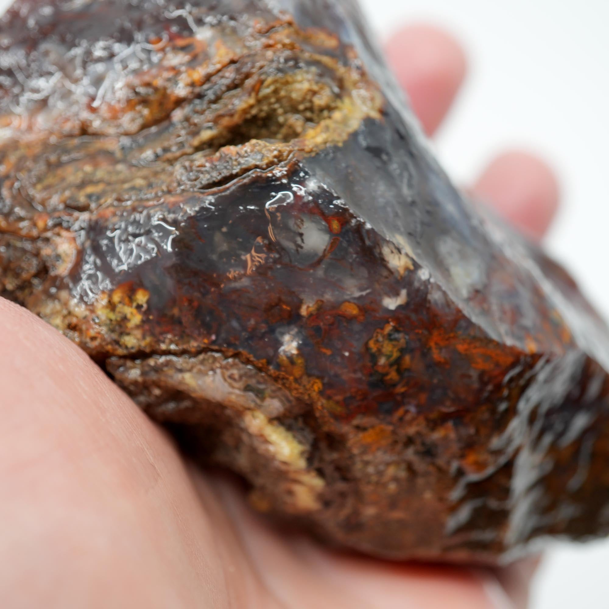 San Carlos Agate Rough - Bright Red with Midnight Smoky and Well-Defined Blue Agate
