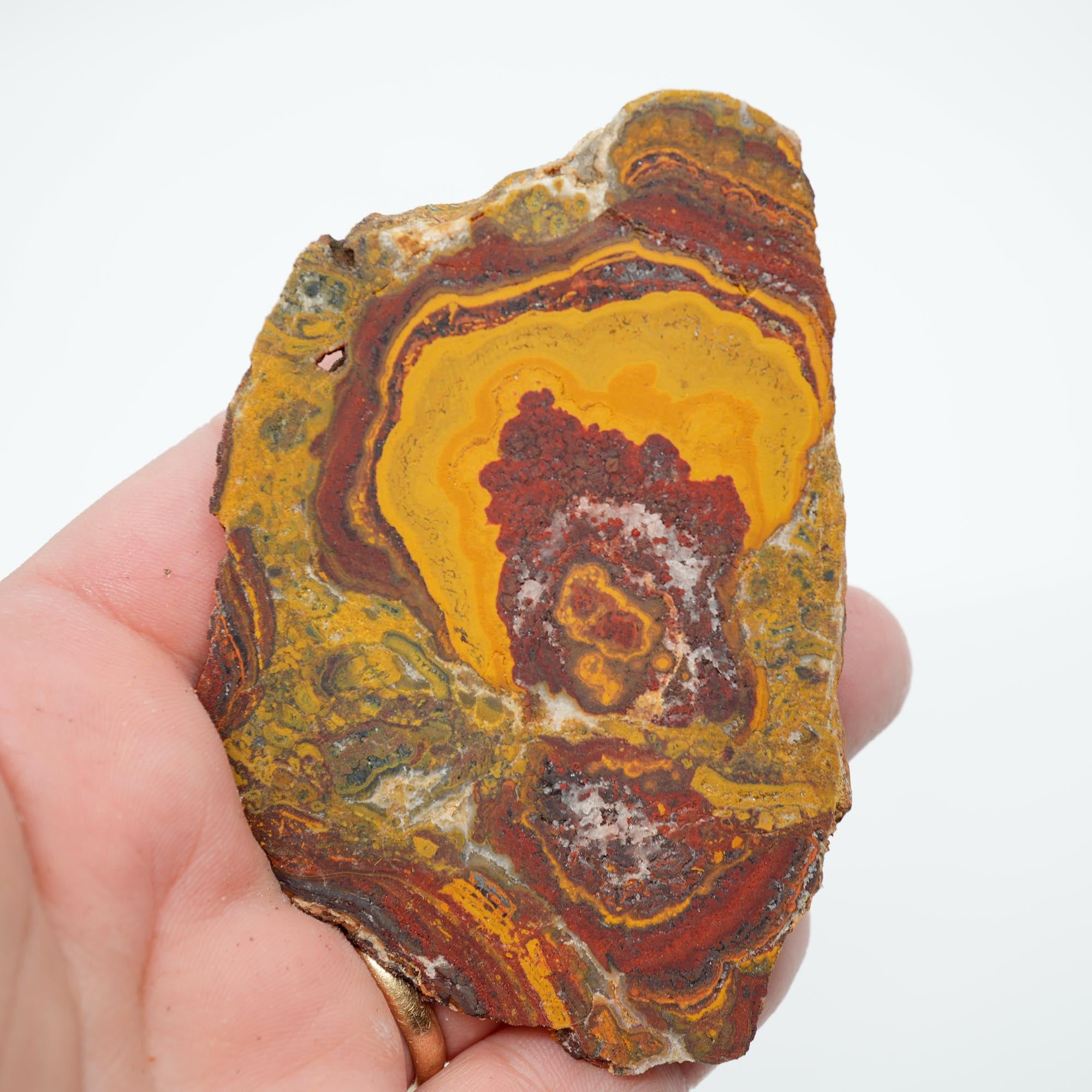 Apple Valley Jasper Endcut - Hematite Flowers with Druzy and Golden Plume Clouds