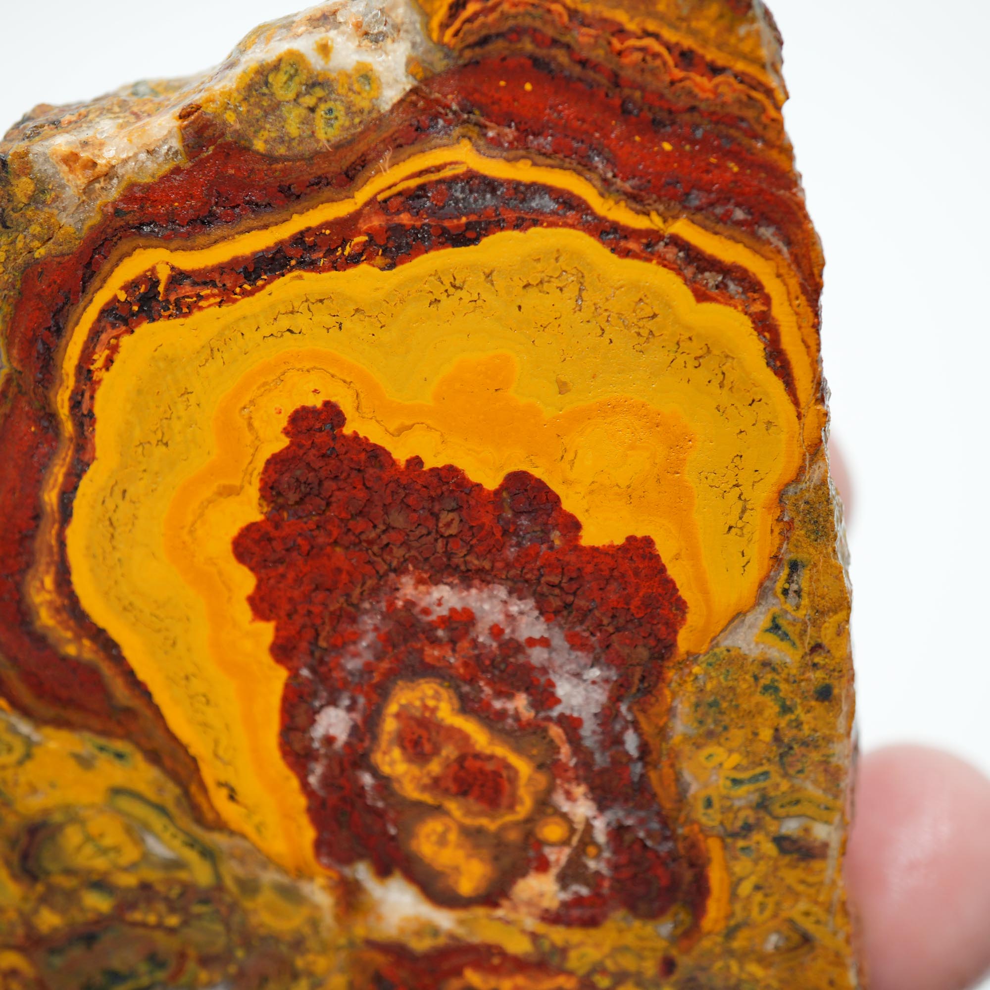Apple Valley Jasper Endcut - Hematite Flowers with Druzy and Golden Plume Clouds