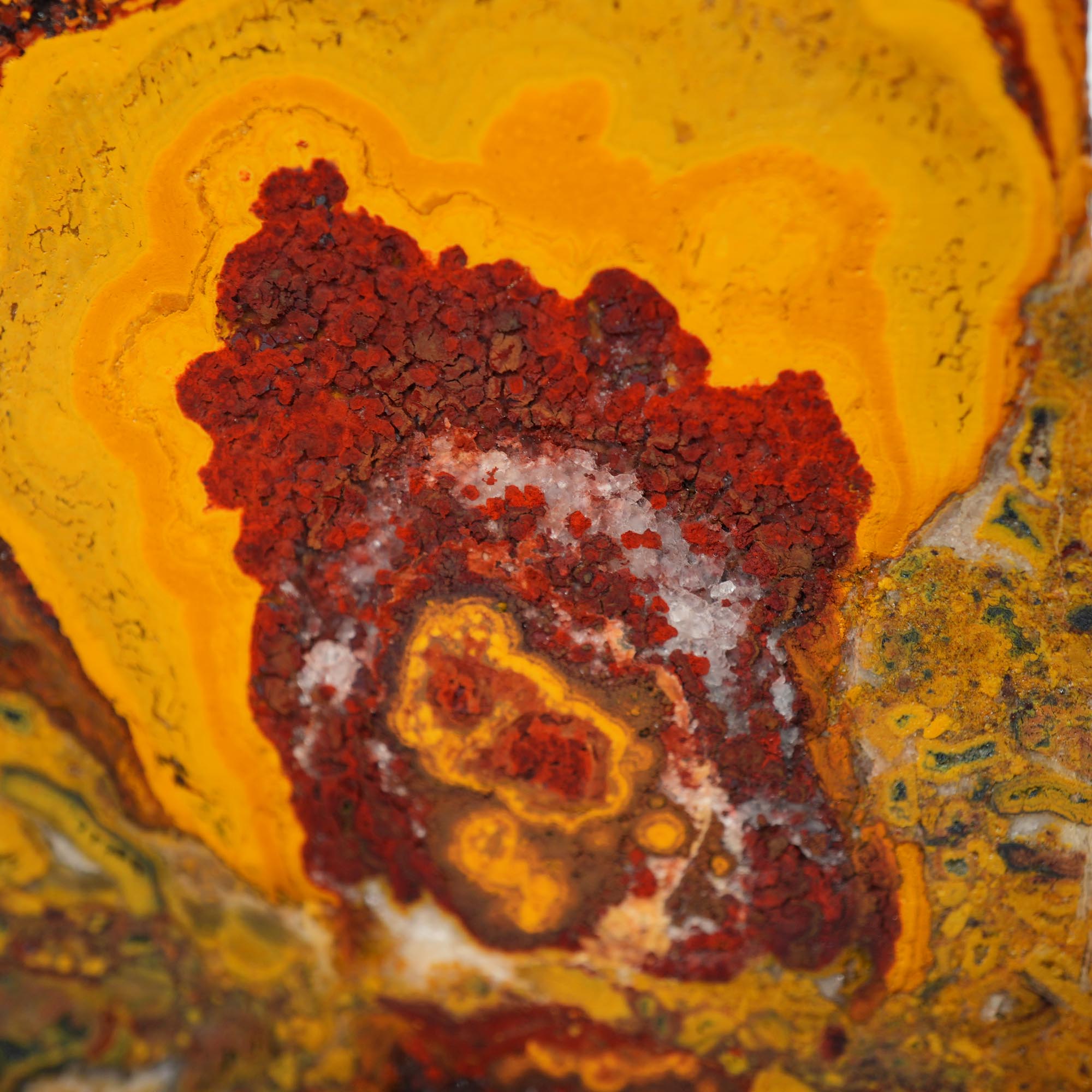 Apple Valley Jasper Endcut - Hematite Flowers with Druzy and Golden Plume Clouds