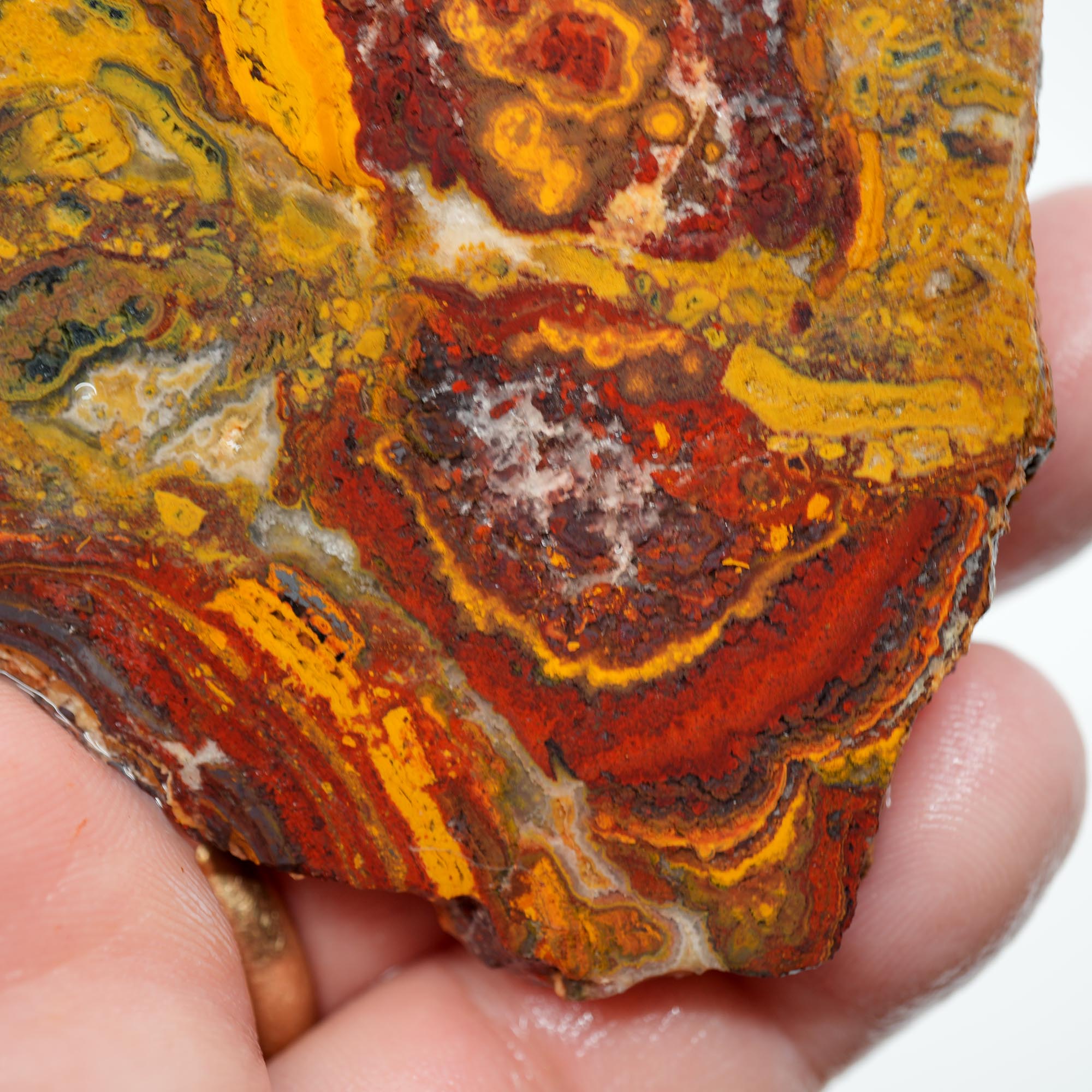 Apple Valley Jasper Endcut - Hematite Flowers with Druzy and Golden Plume Clouds