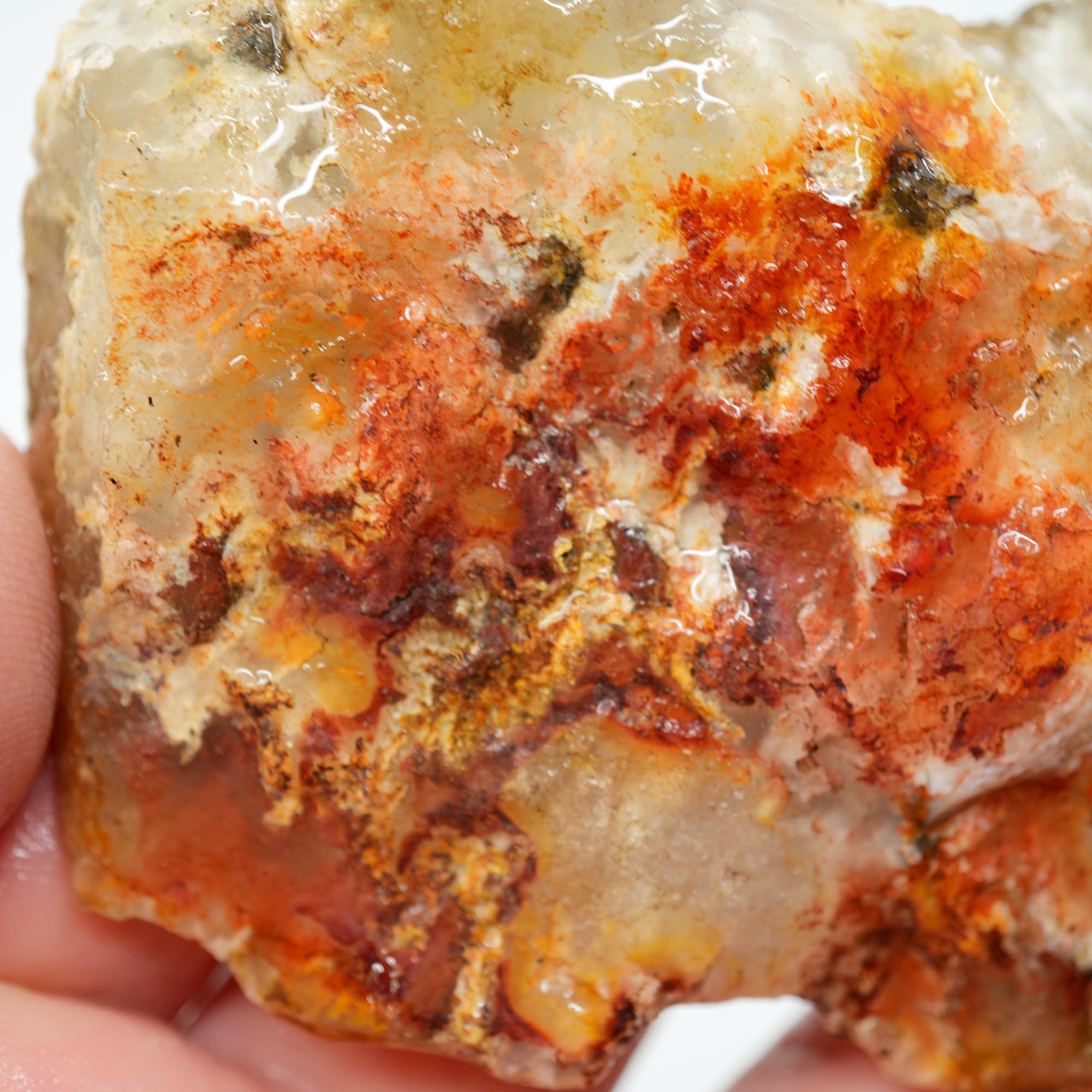Regency Rose Plume Agate Rough - Old Stock Bright Red Scraping-Blade Plate