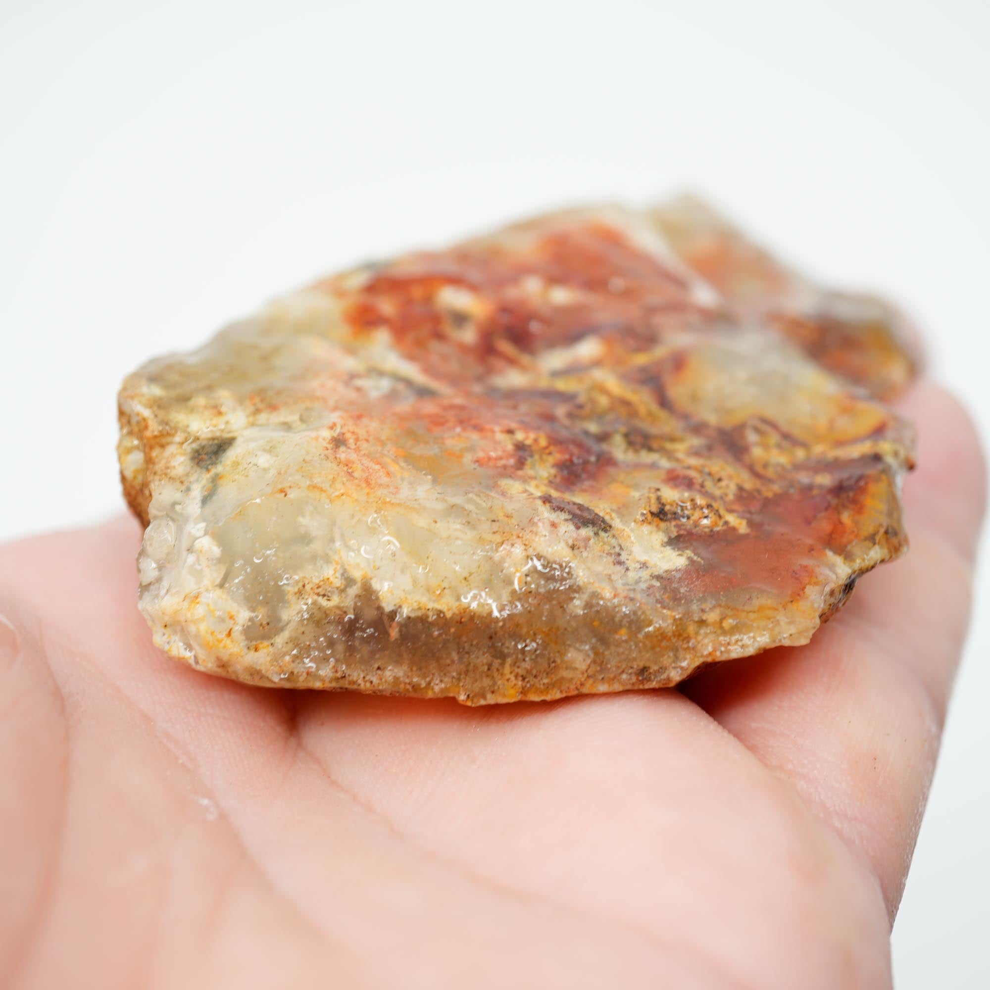 Regency Rose Plume Agate Rough - Old Stock Bright Red Scraping-Blade Plate