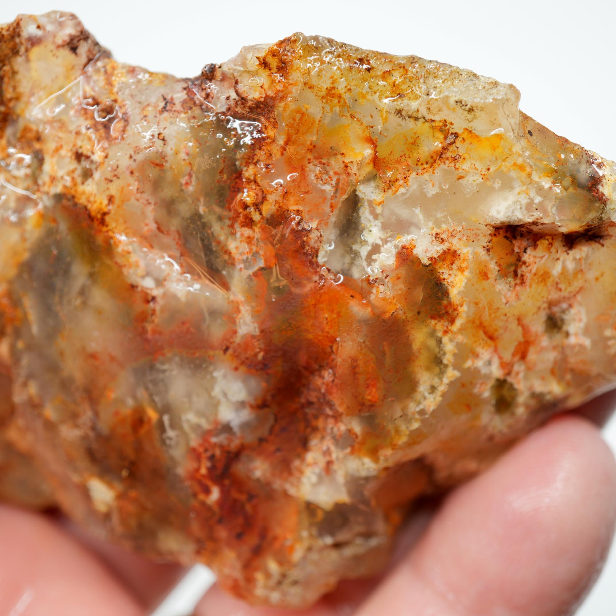 Regency Rose Plume Agate Rough - Old Stock Bright Red Scraping-Blade Plate