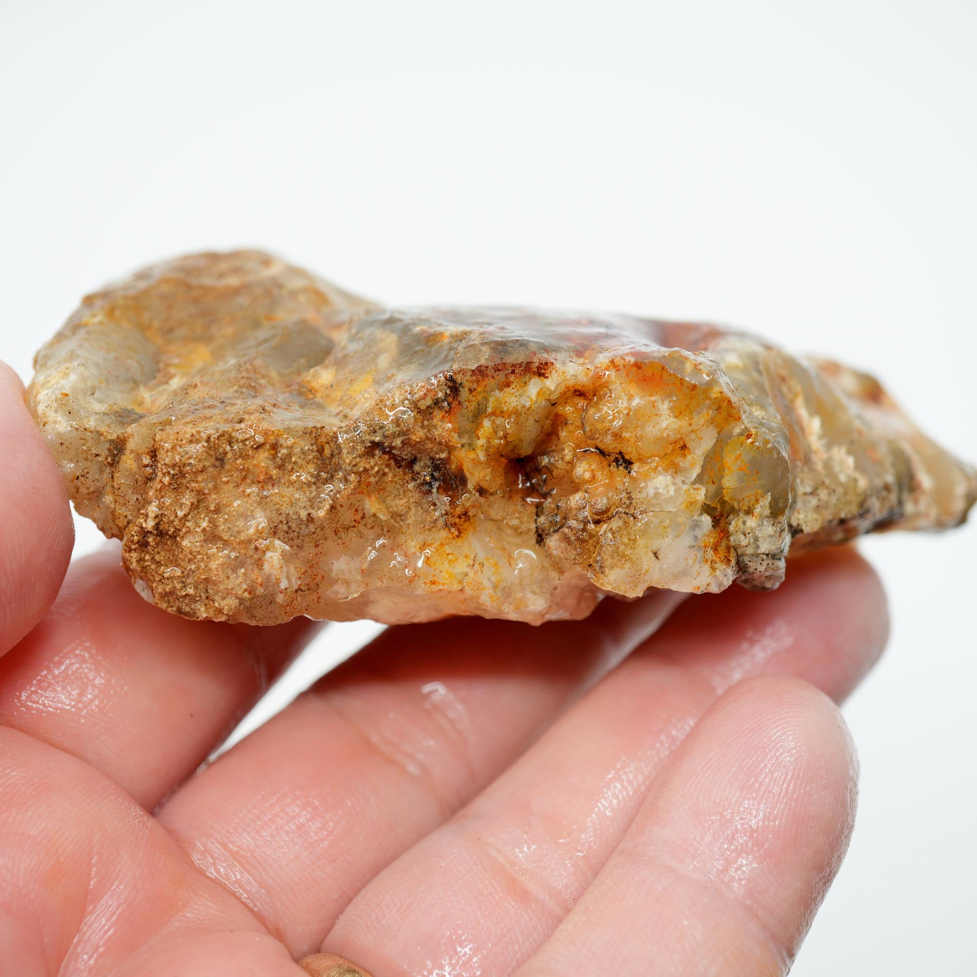 Regency Rose Plume Agate Rough - Old Stock Bright Red Scraping-Blade Plate