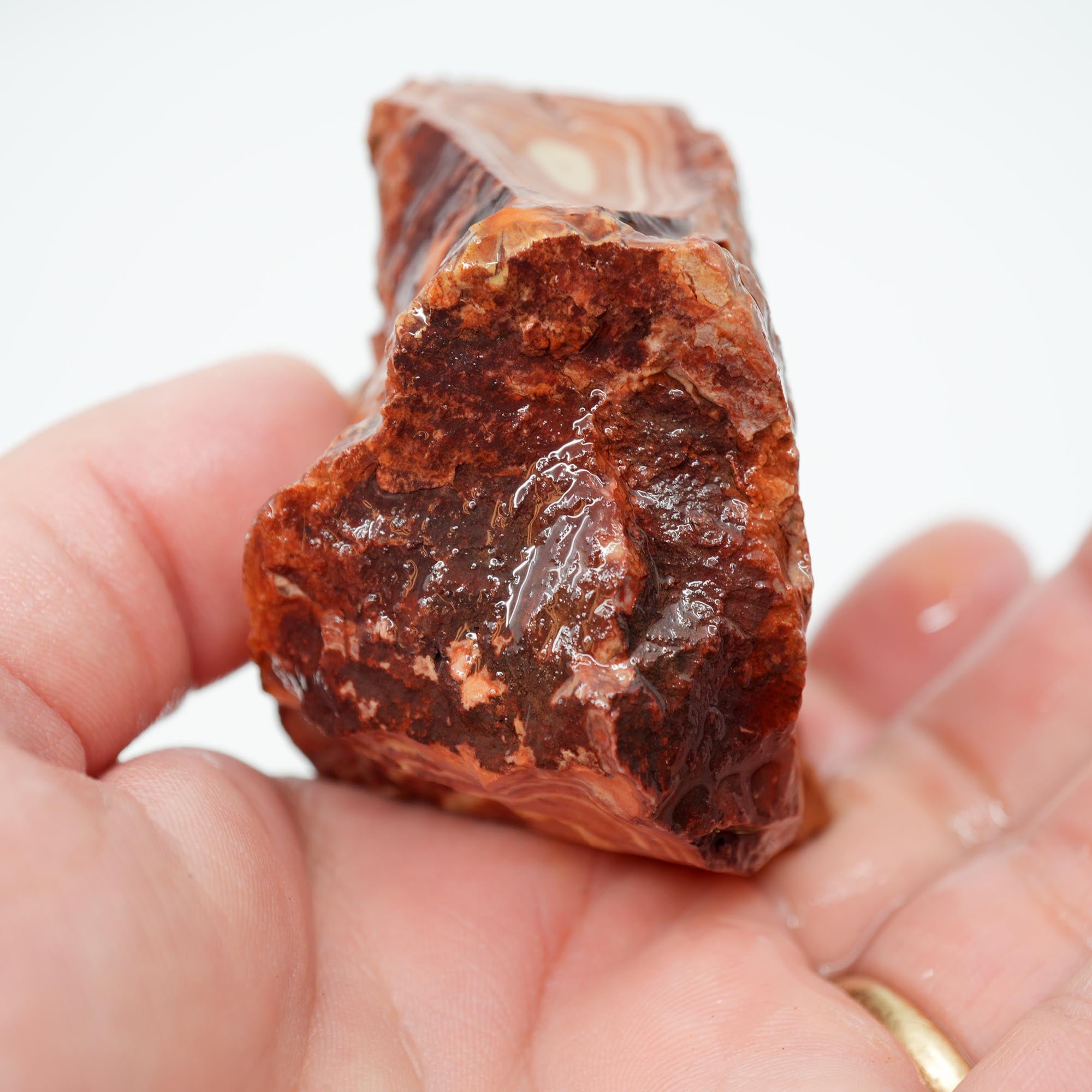 Nevada Wonderstone Rough - High-Grade with Osmosis Pattern Multi-Slab Cutter