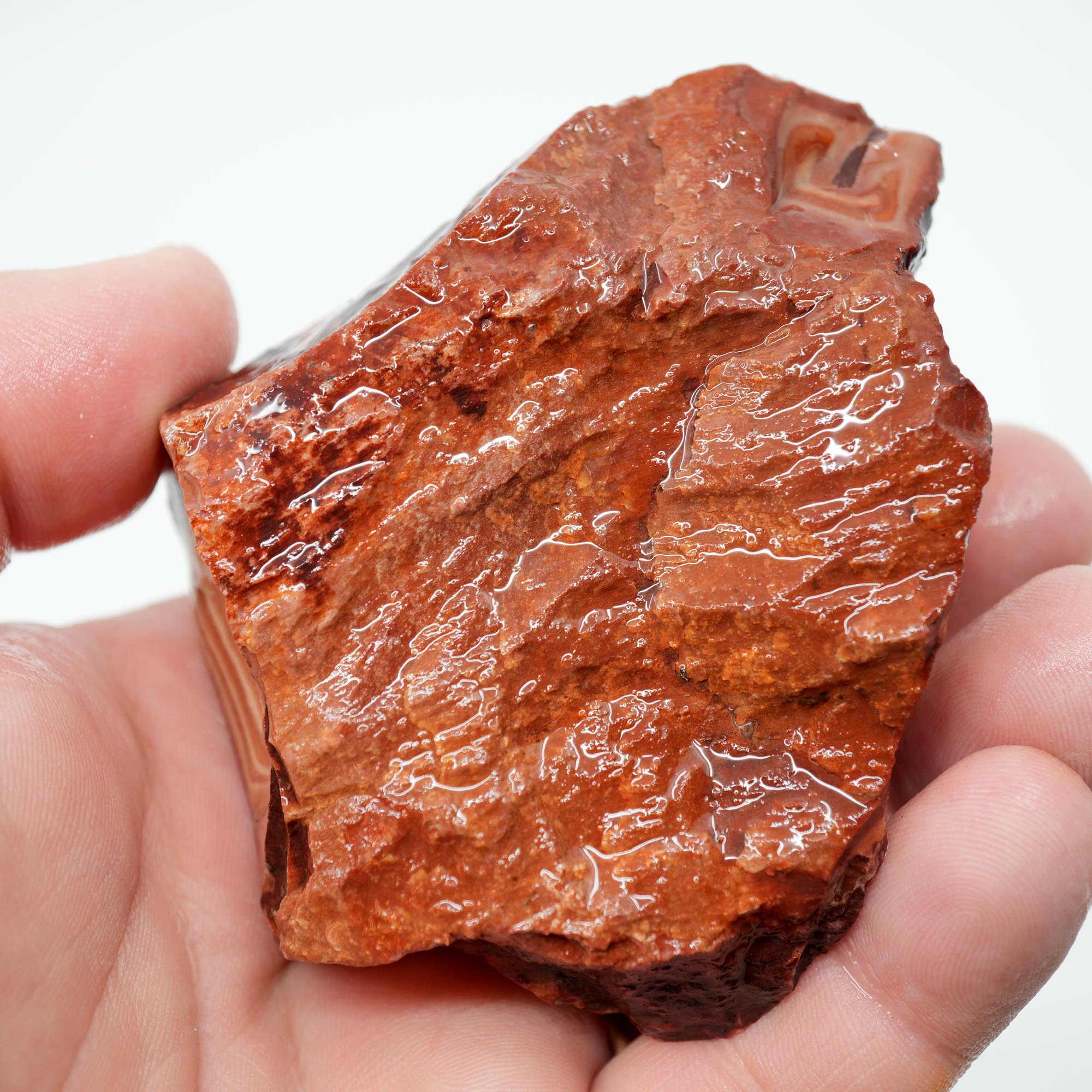 Nevada Wonderstone Rough - High-Grade with Osmosis Pattern Multi-Slab Cutter