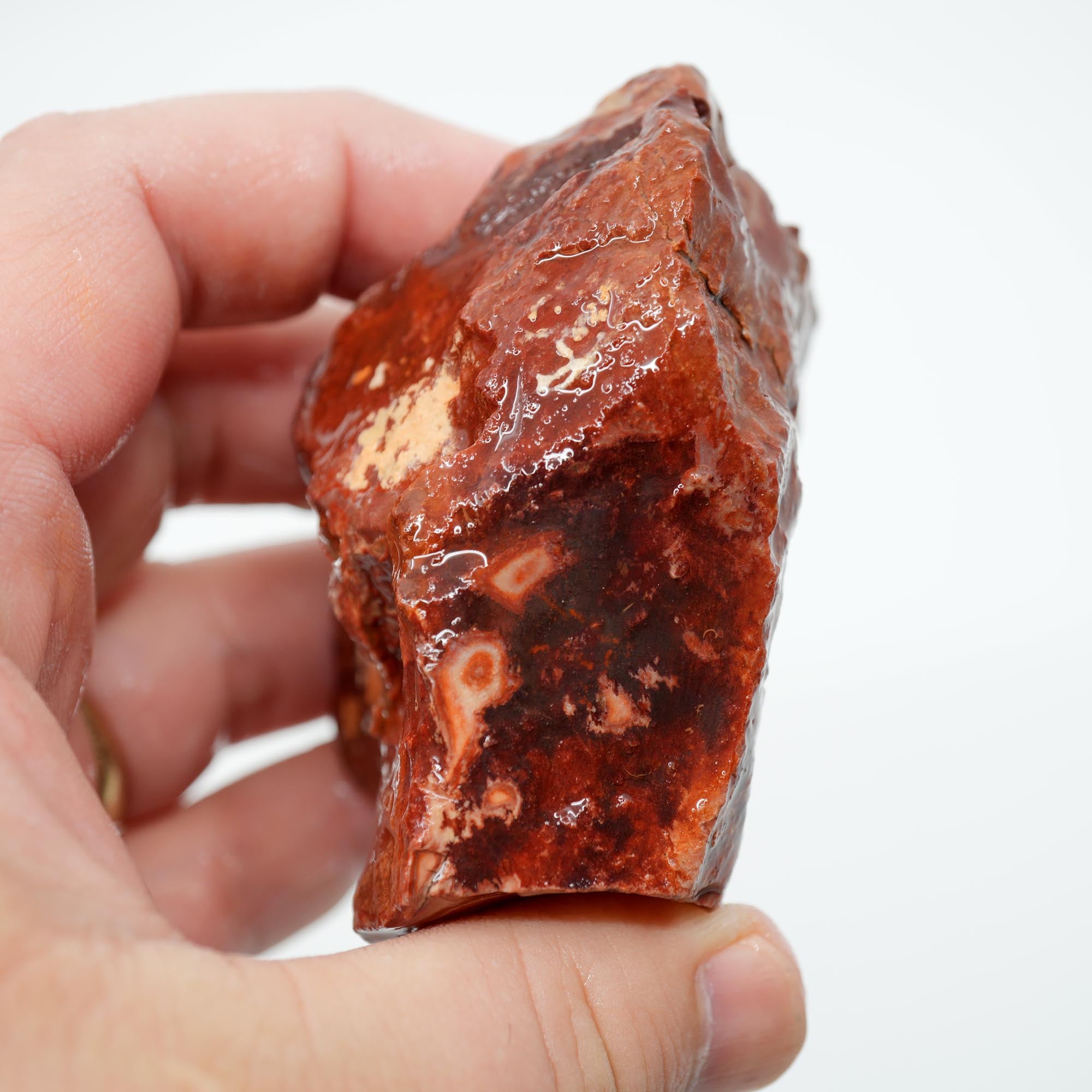 Nevada Wonderstone Rough - High-Grade with Osmosis Pattern Multi-Slab Cutter