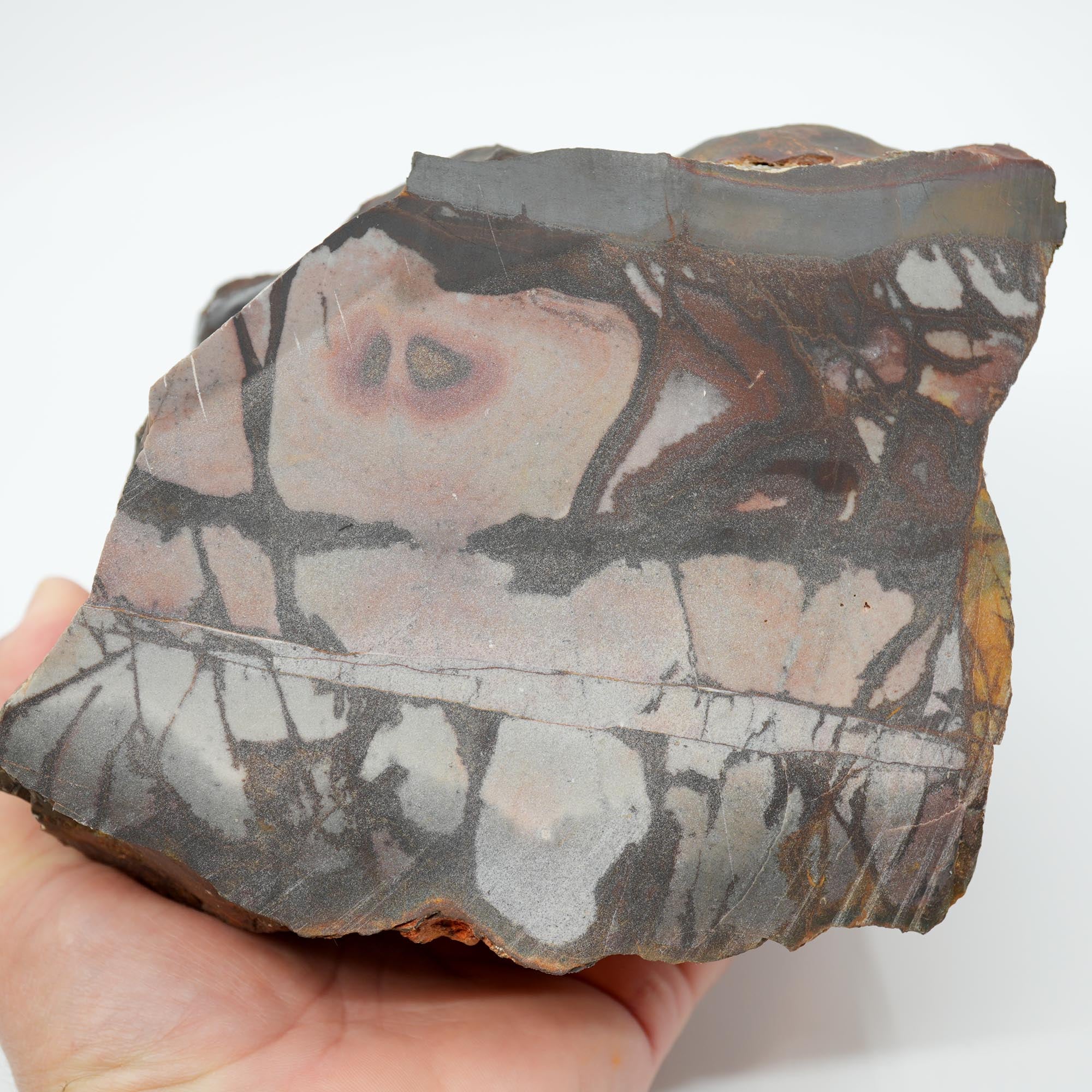 Outback Jasper Cut and Proven - High-Grade Sunset and Twilight Large Block