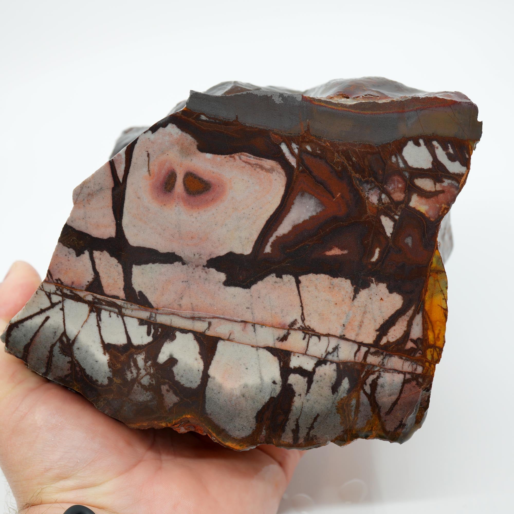 Outback Jasper Cut and Proven - High-Grade Sunset and Twilight Large Block