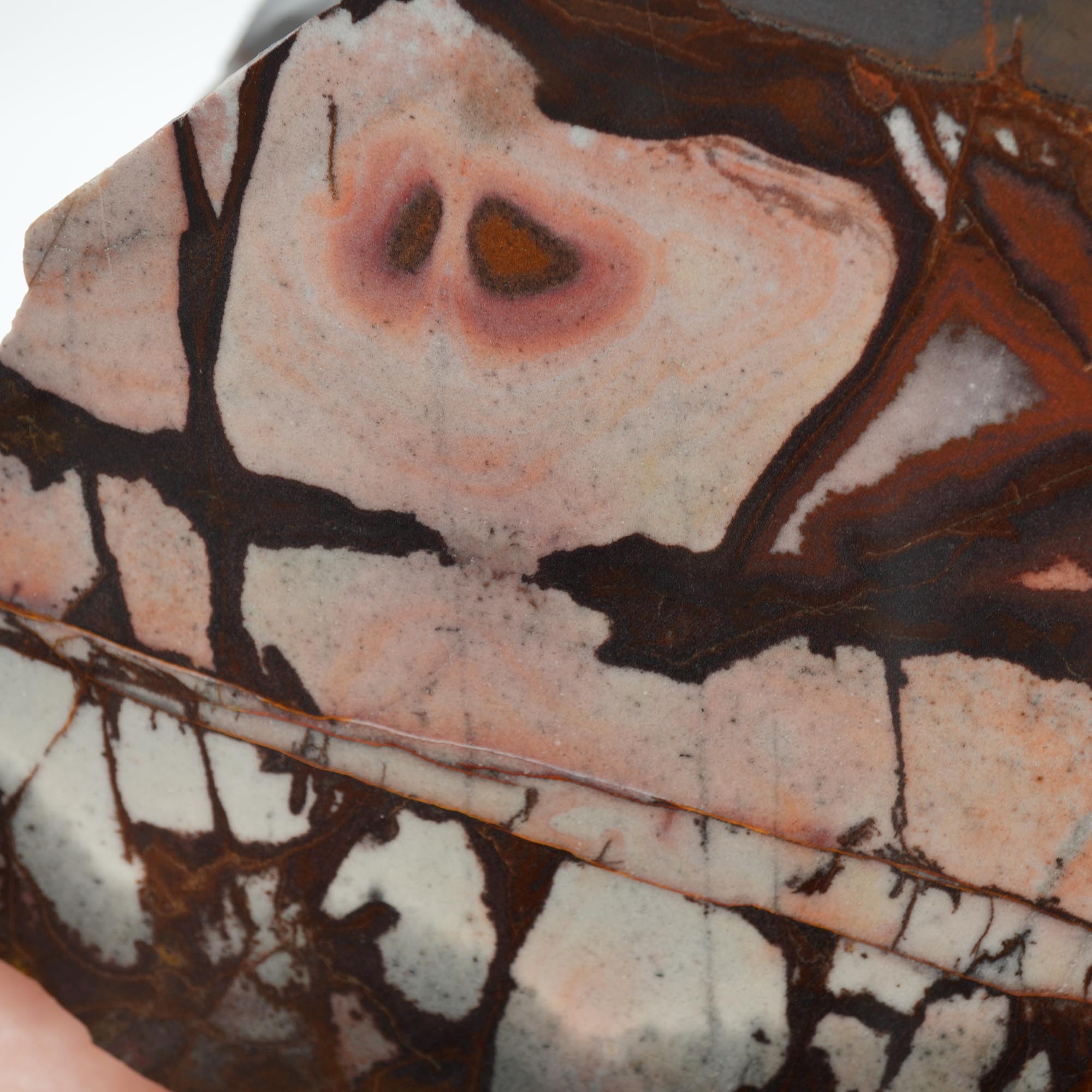 Outback Jasper Cut and Proven - High-Grade Sunset and Twilight Large Block